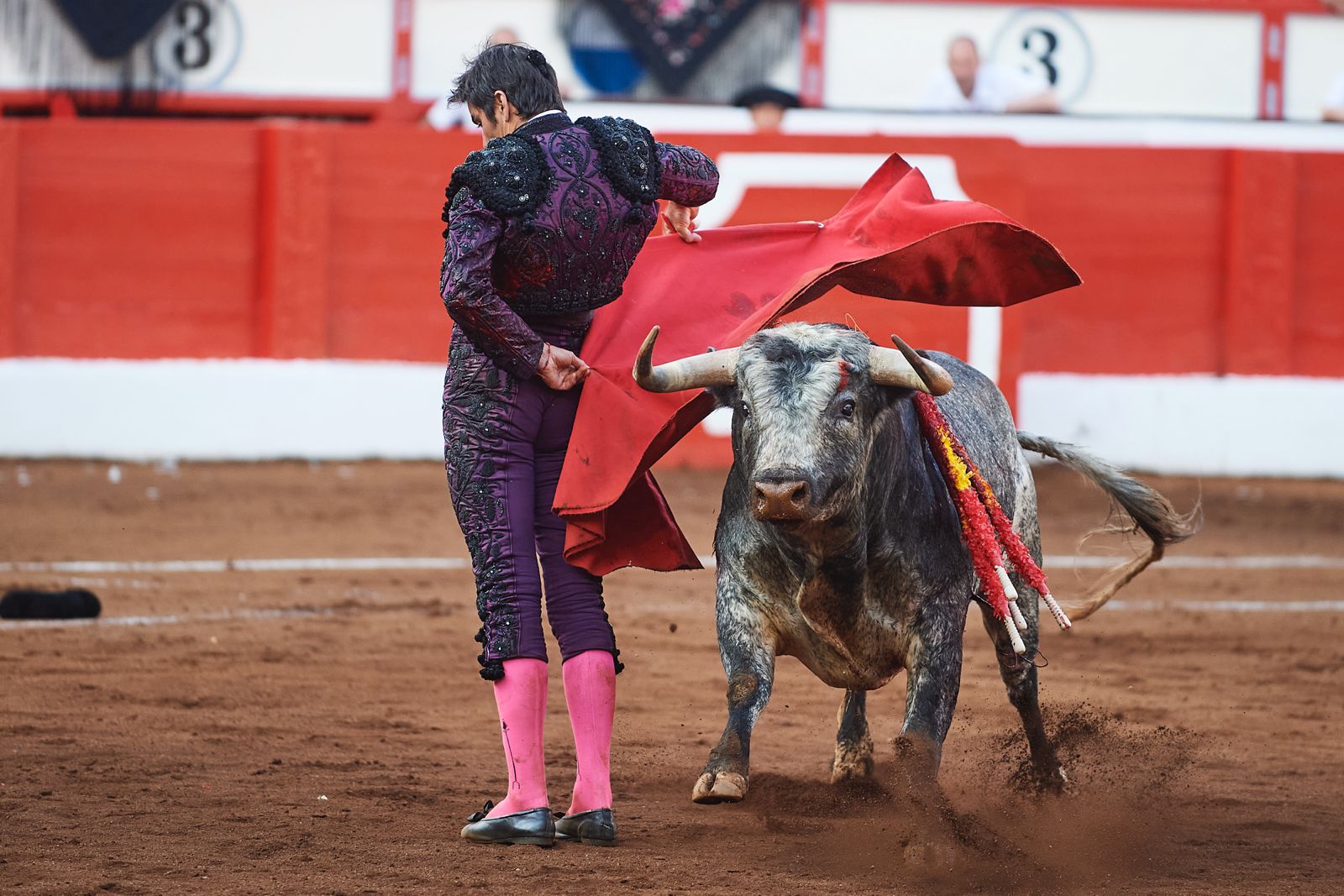 <p>Foto: © César Ortiz</p>