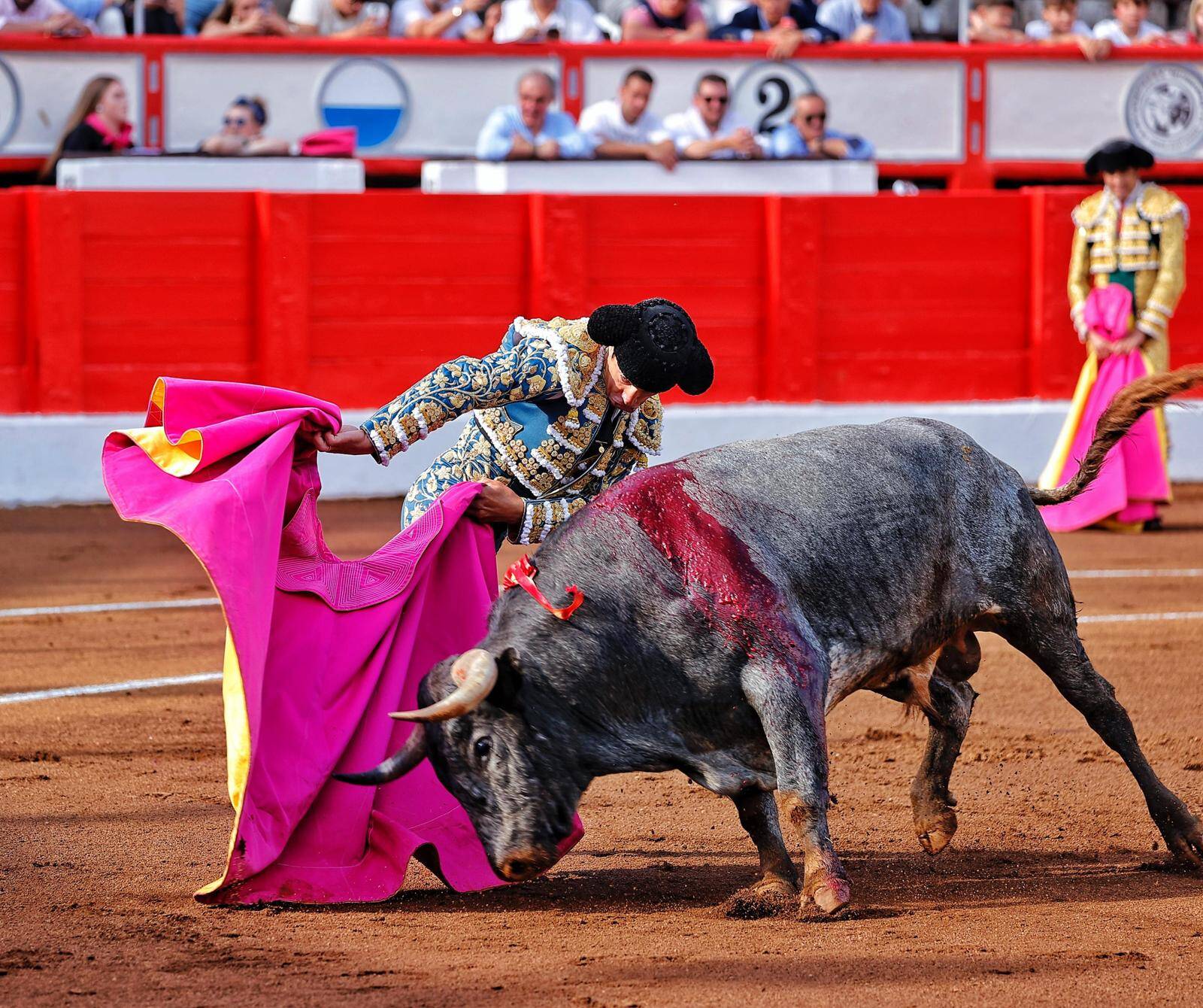 <p>Foto: © Joaquín Arjona</p>