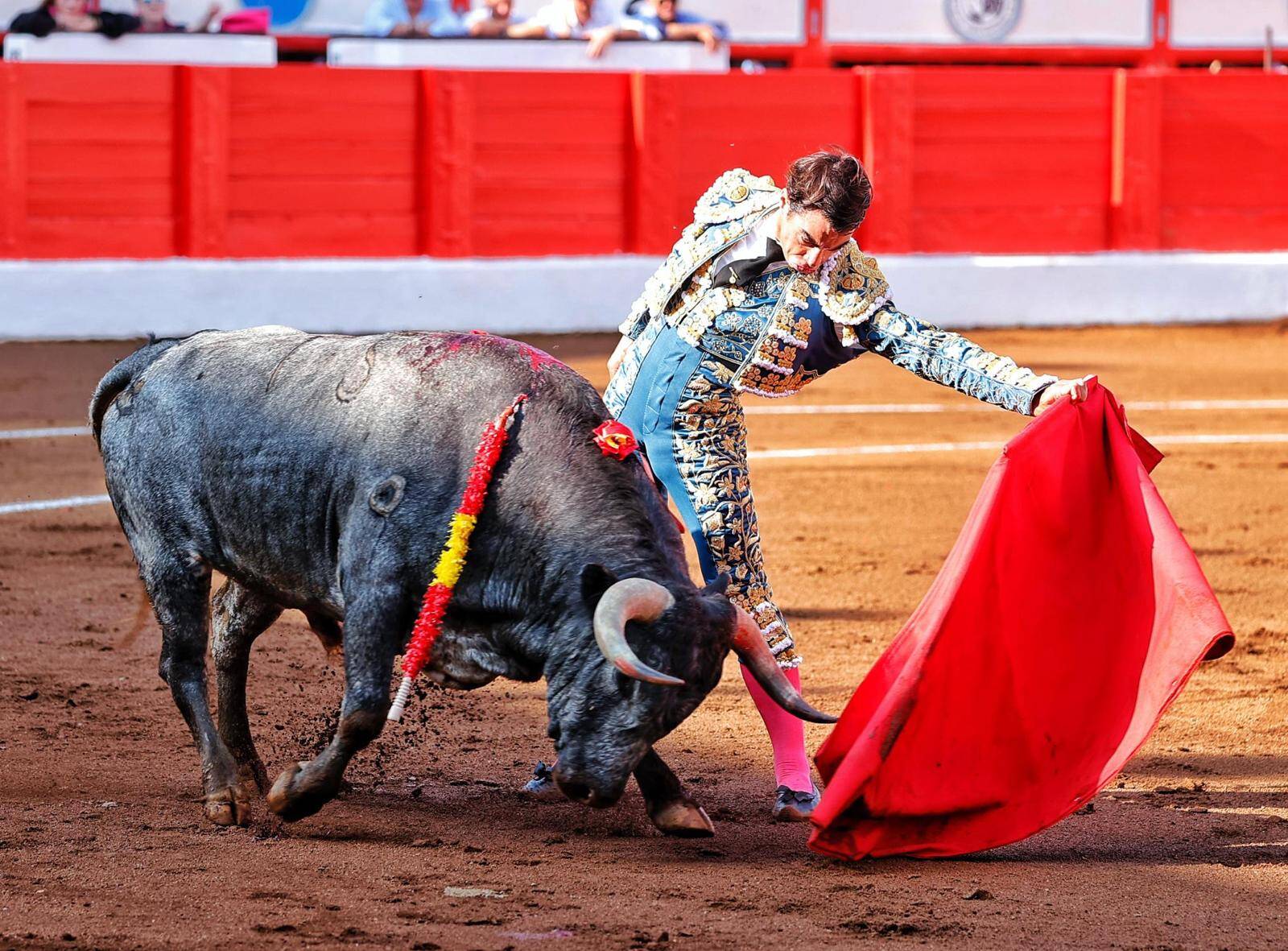 <p>Foto: © Joaquín Arjona</p>
