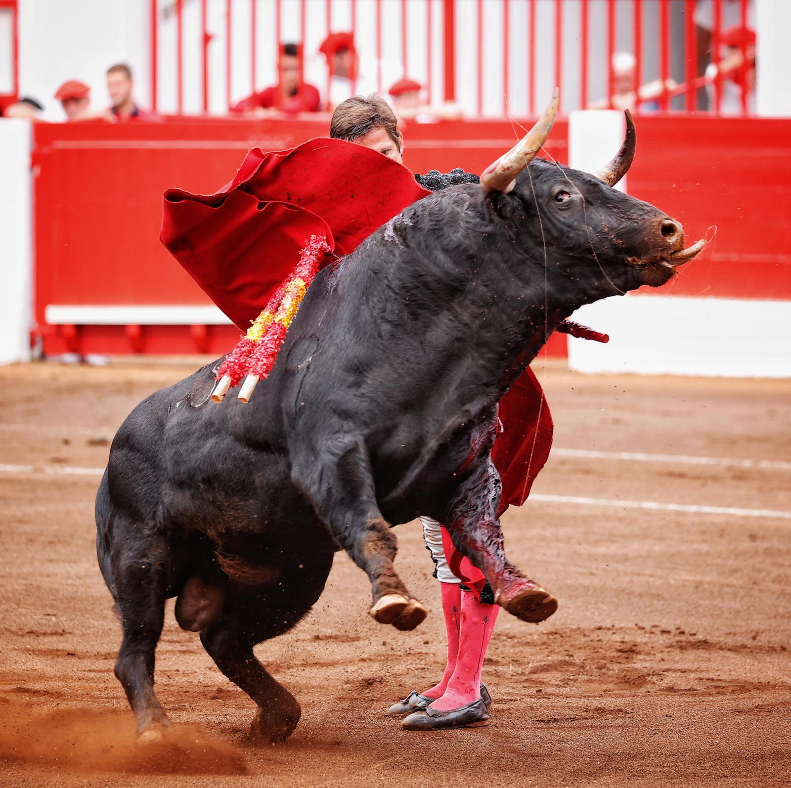 <p>Foto: Lances de Futuro</p>