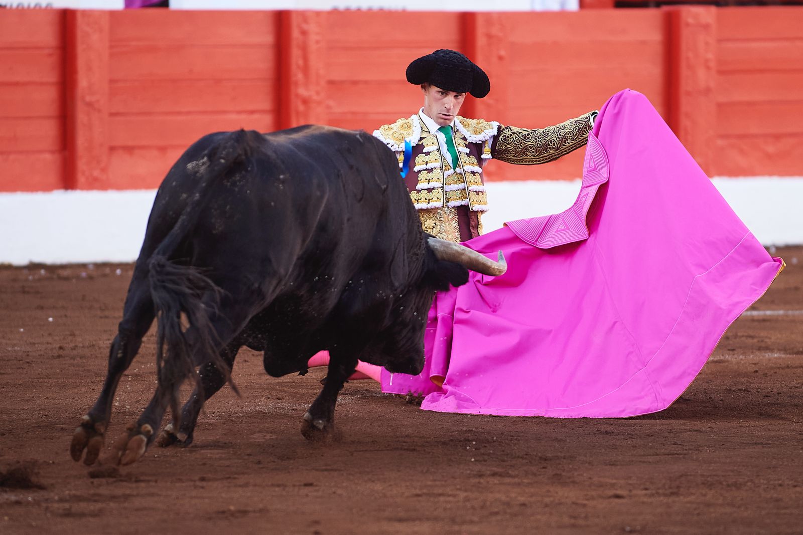 <p>Foto: © César Ortiz</p>