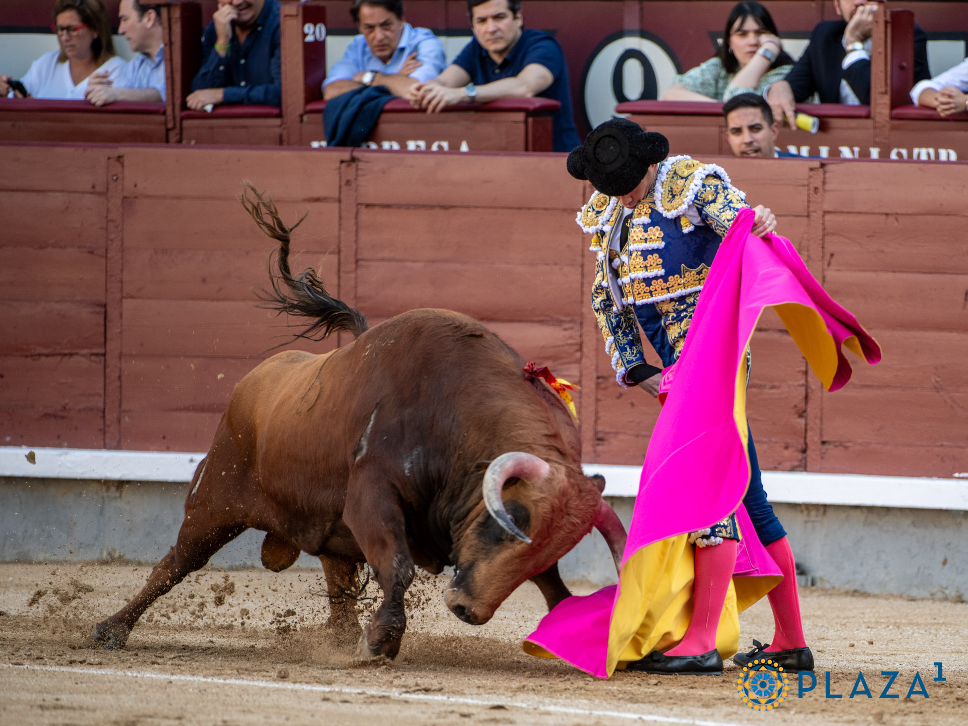 <p><span>Foto: Alfredo Arévalo / Plaza 1</span></p>