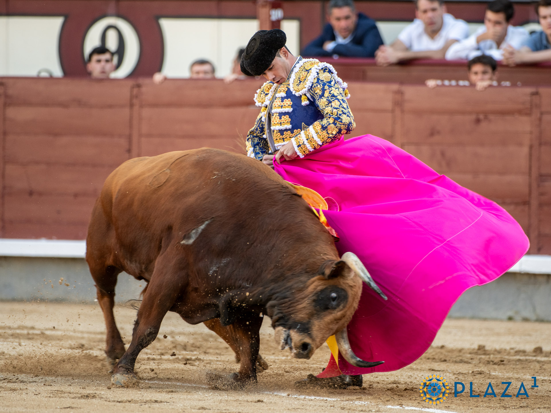 <p><span>Foto: Alfredo Arévalo / Plaza 1</span></p>