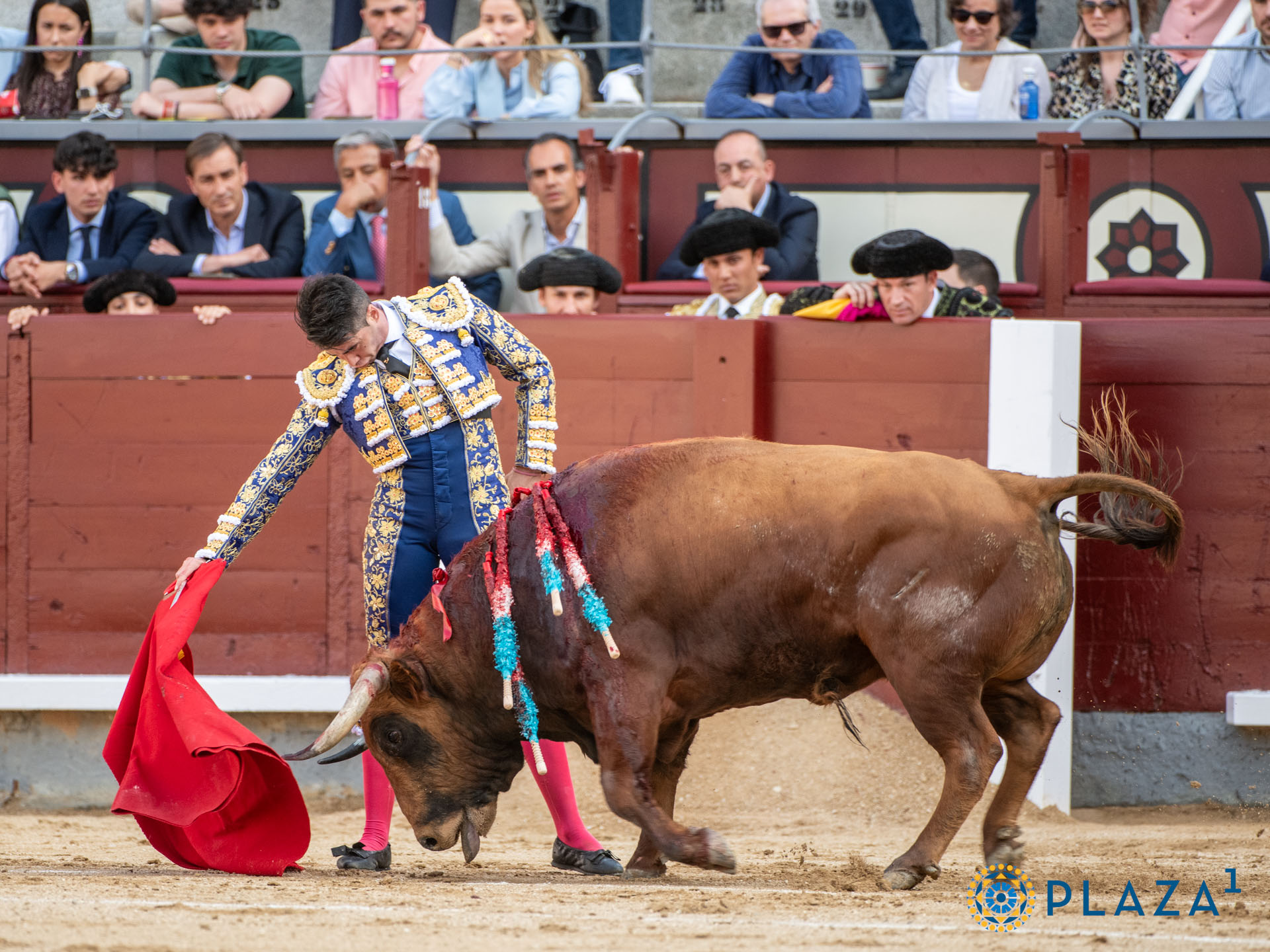 <p><span>Foto: Alfredo Arévalo / Plaza 1</span></p>