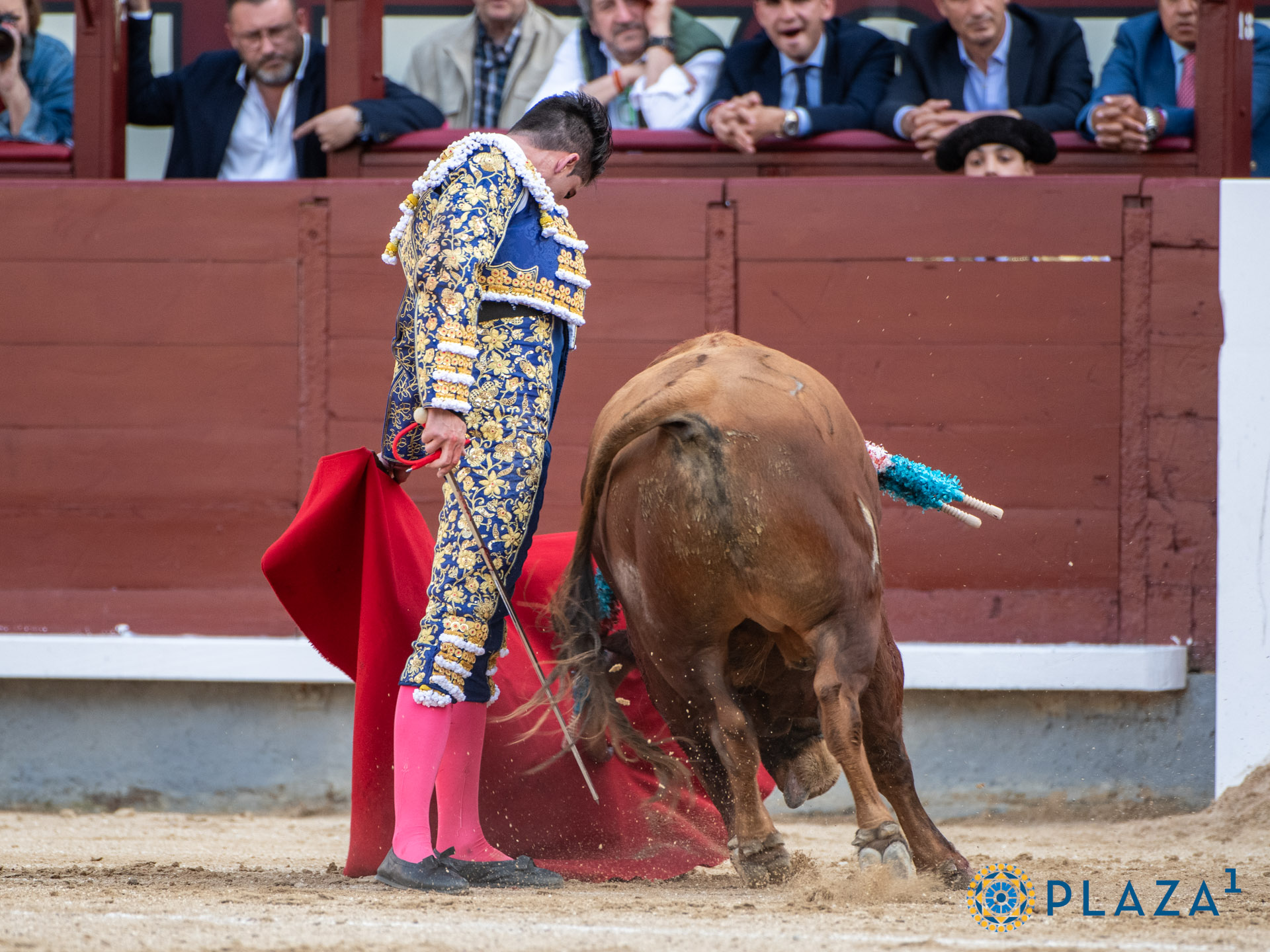 <p><span>Foto: Alfredo Arévalo / Plaza 1</span></p>