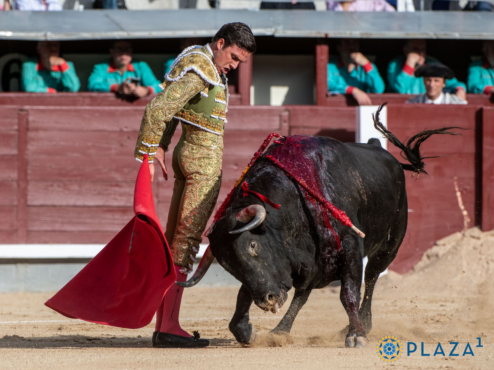 <p><span>Foto: Alfredo Arévalo / Plaza 1</span></p>