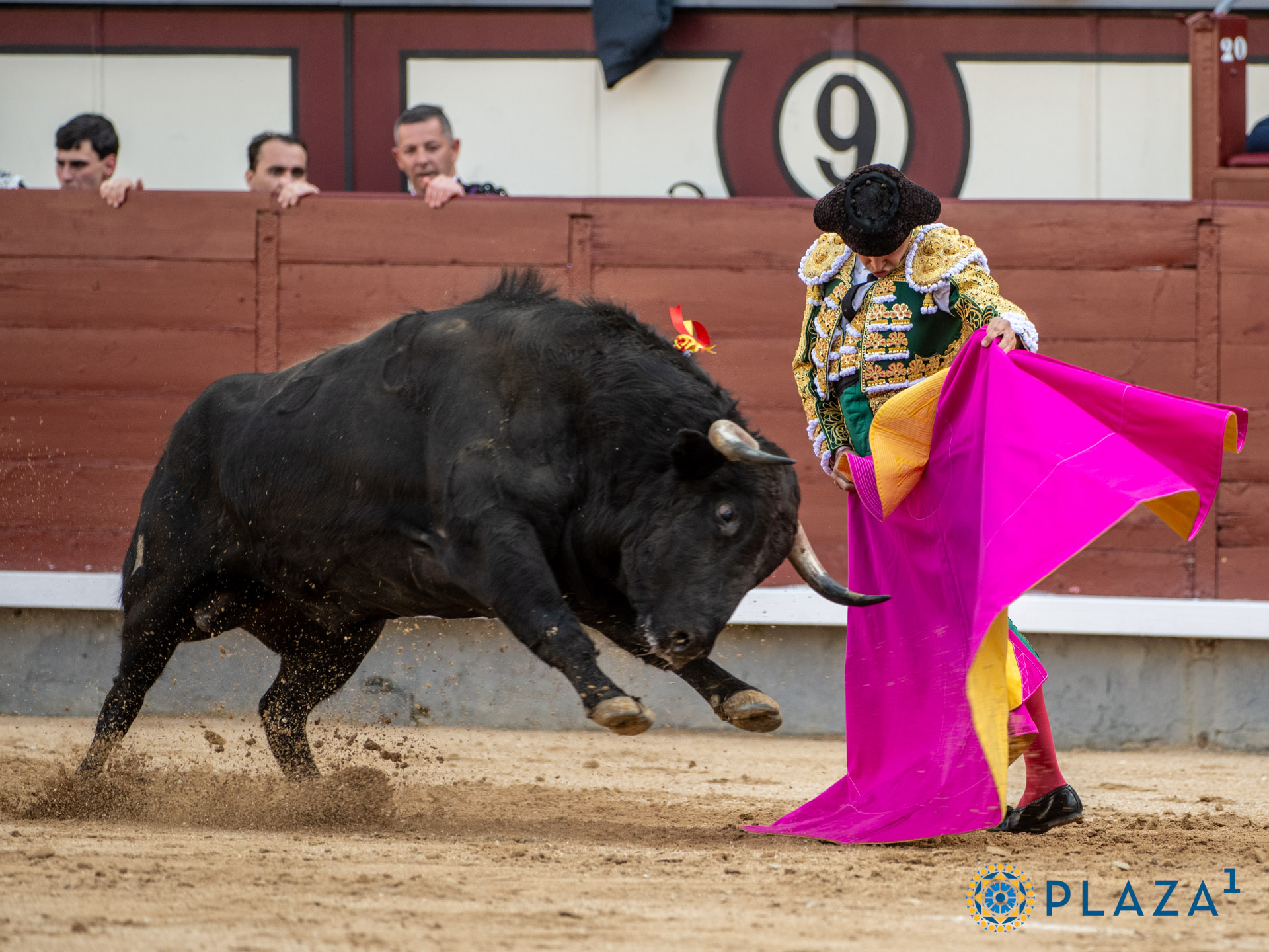 <p><span>Foto: Alfredo Arévalo / Plaza 1</span></p>