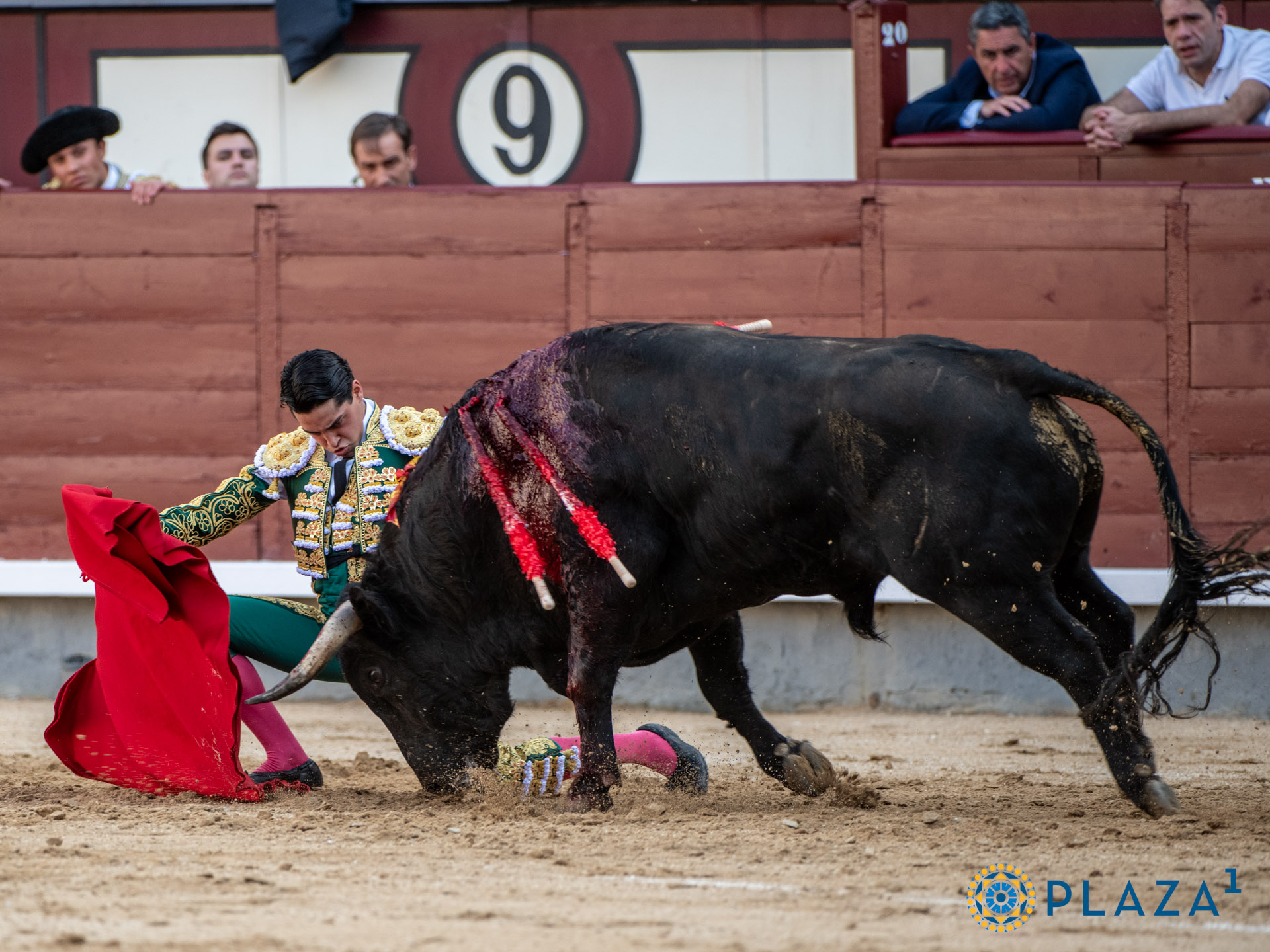 <p><span>Foto: Alfredo Arévalo / Plaza 1</span></p>