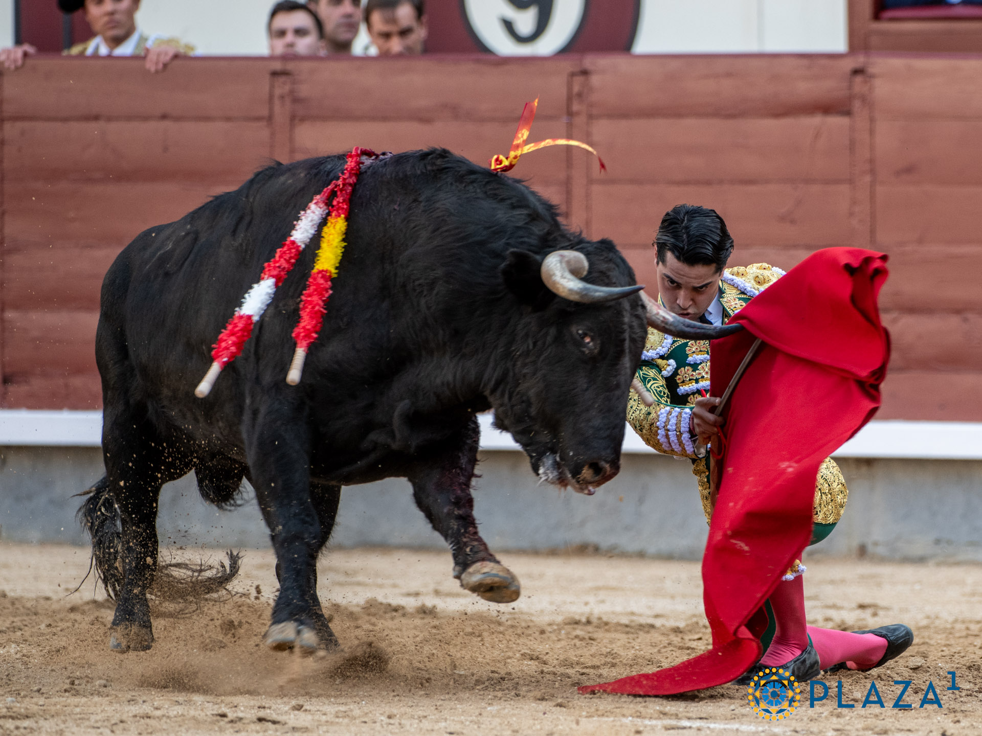 <p><span>Foto: Alfredo Arévalo / Plaza 1</span></p>