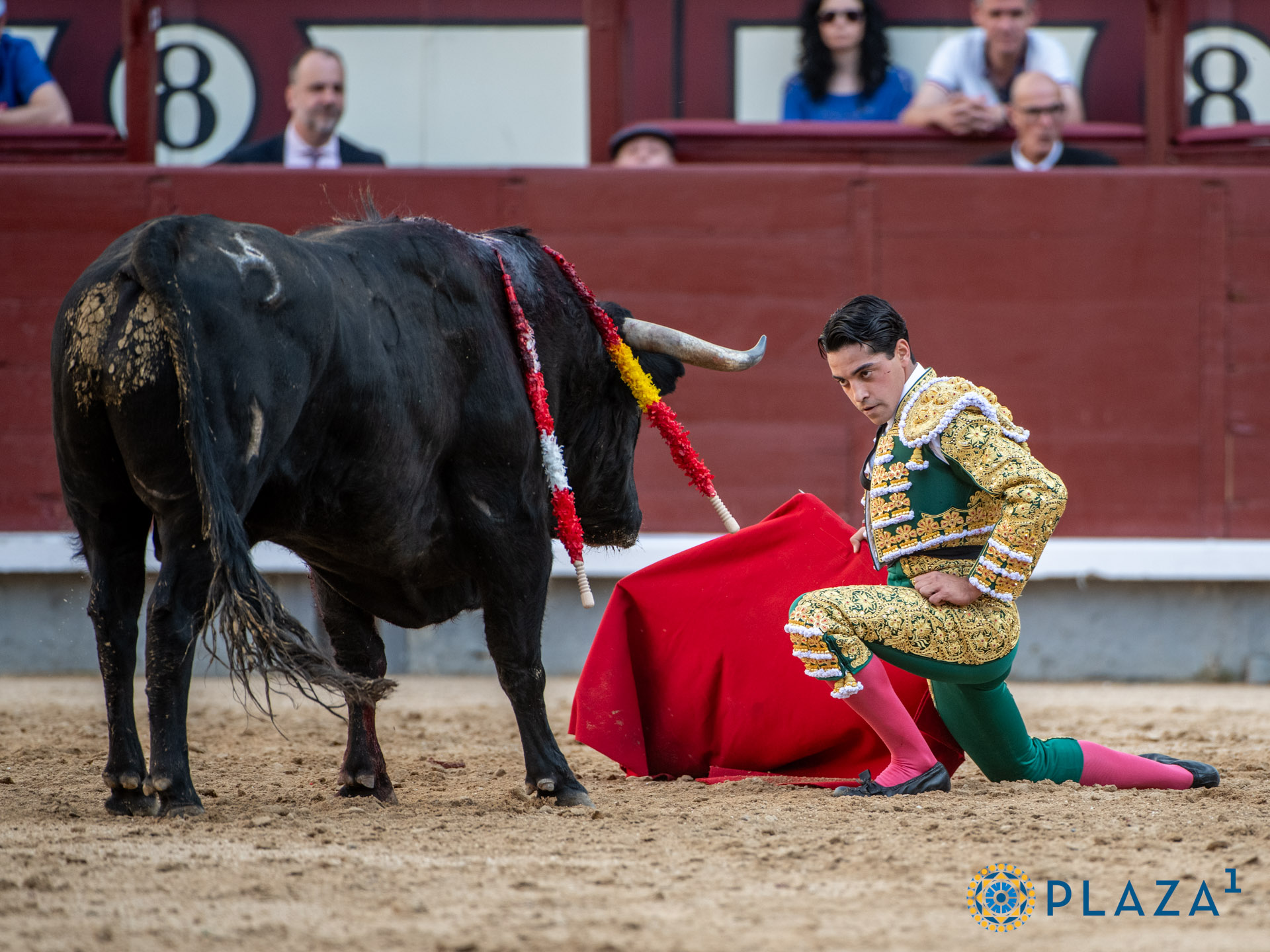 <p><span>Foto: Alfredo Arévalo / Plaza 1</span></p>