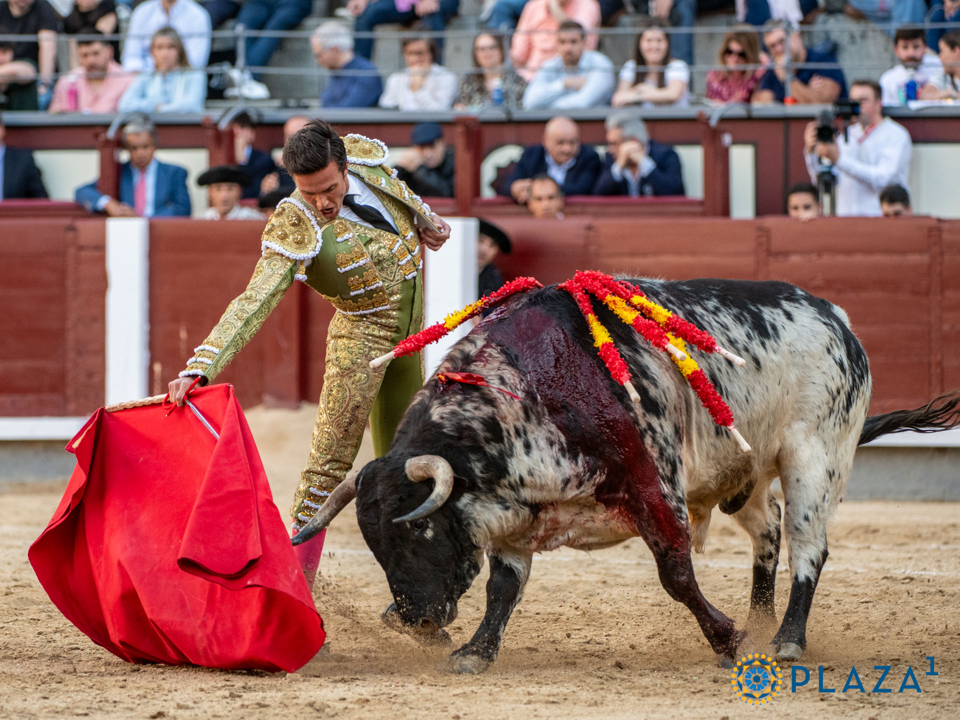 <p><span>Foto: Alfredo Arévalo / Plaza 1</span></p>