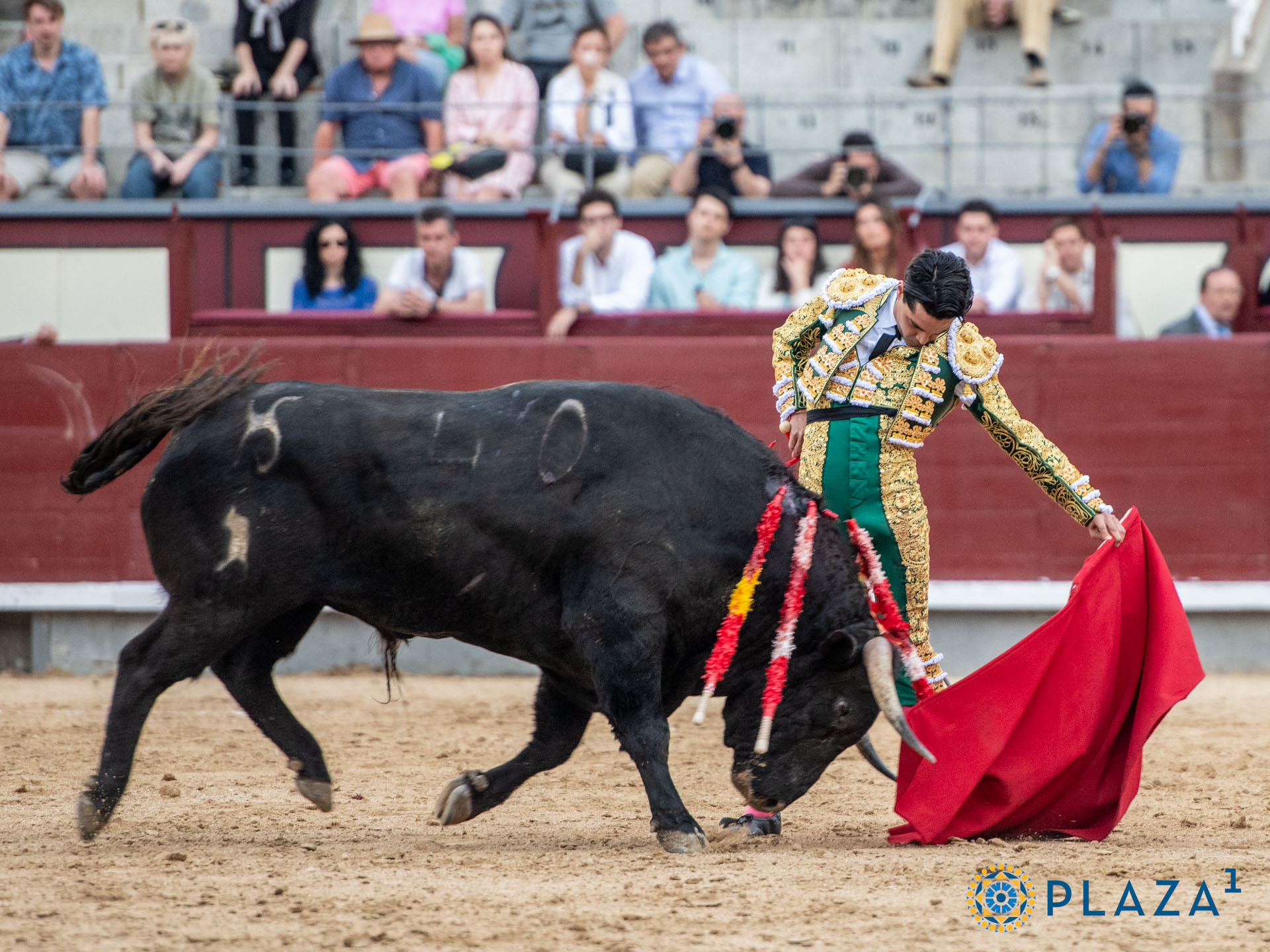 <p><span>Foto: Alfredo Arévalo / Plaza 1</span></p>