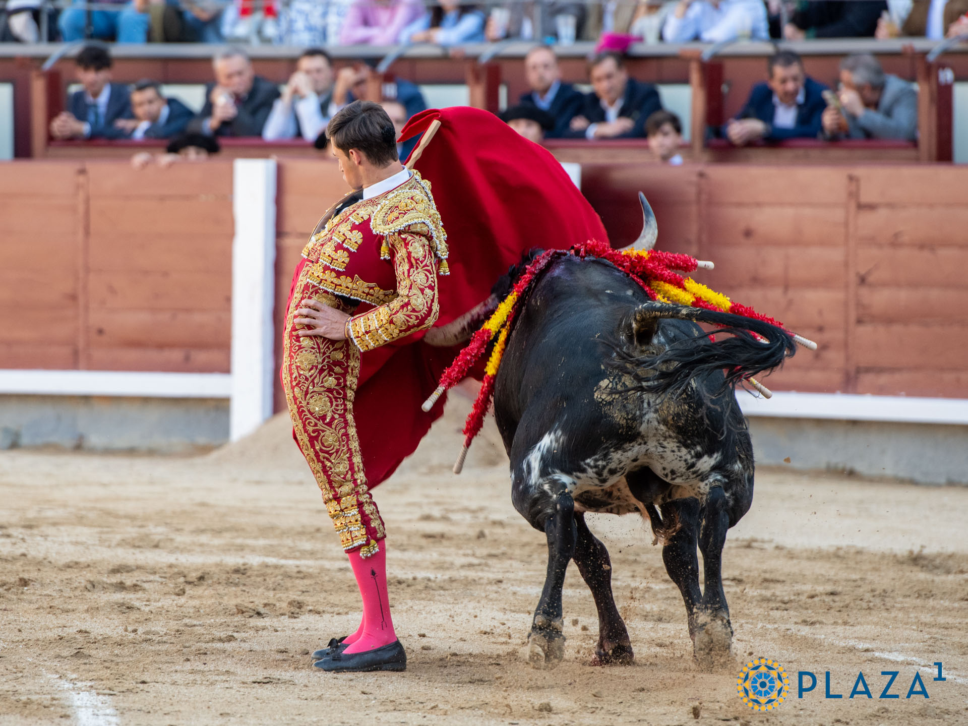 <p>Foto: Alfredo Arévalo / Plaza 1</p>