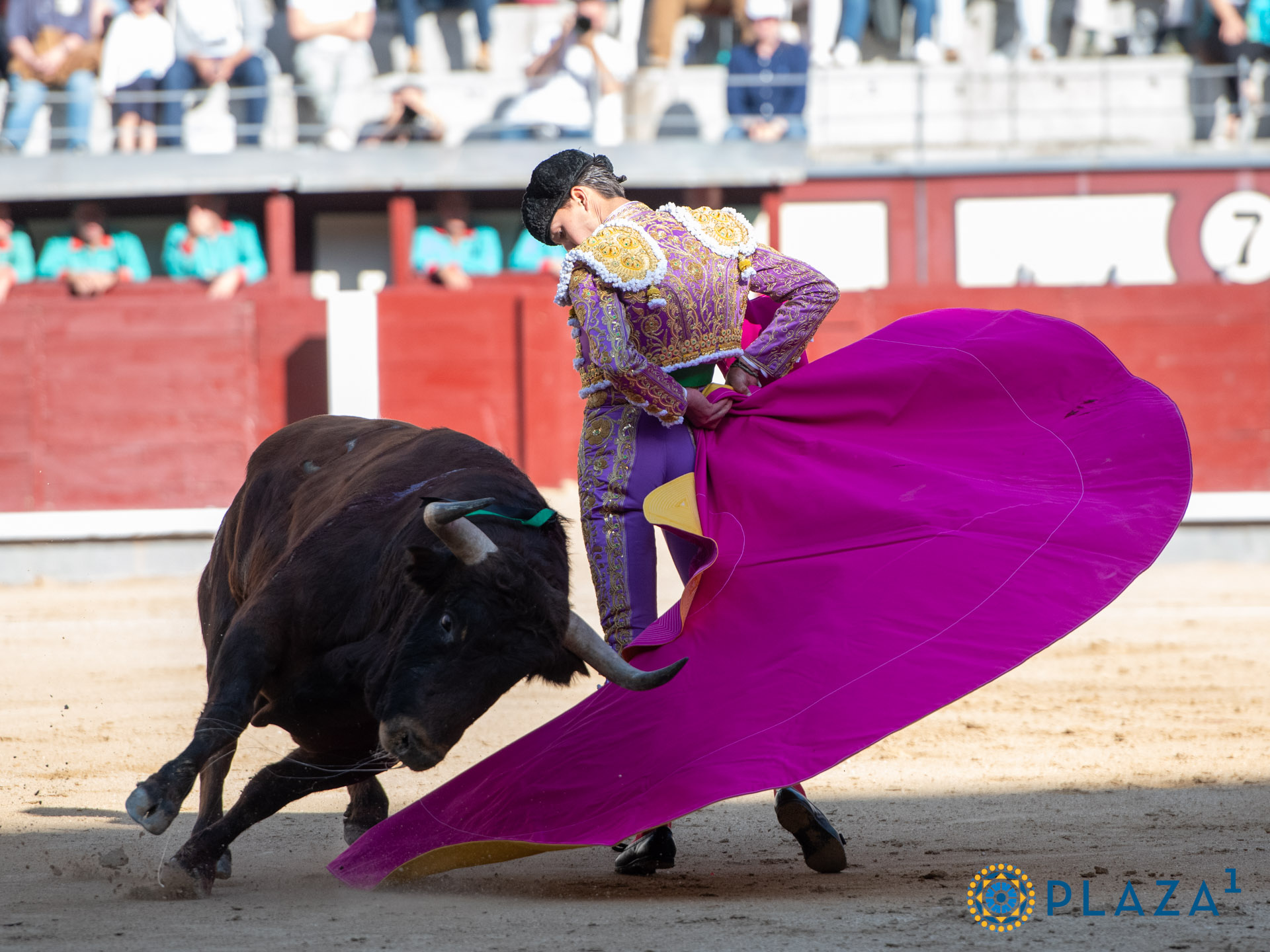 <p>Foto: Alfredo Arévalo / Plaza 1</p>