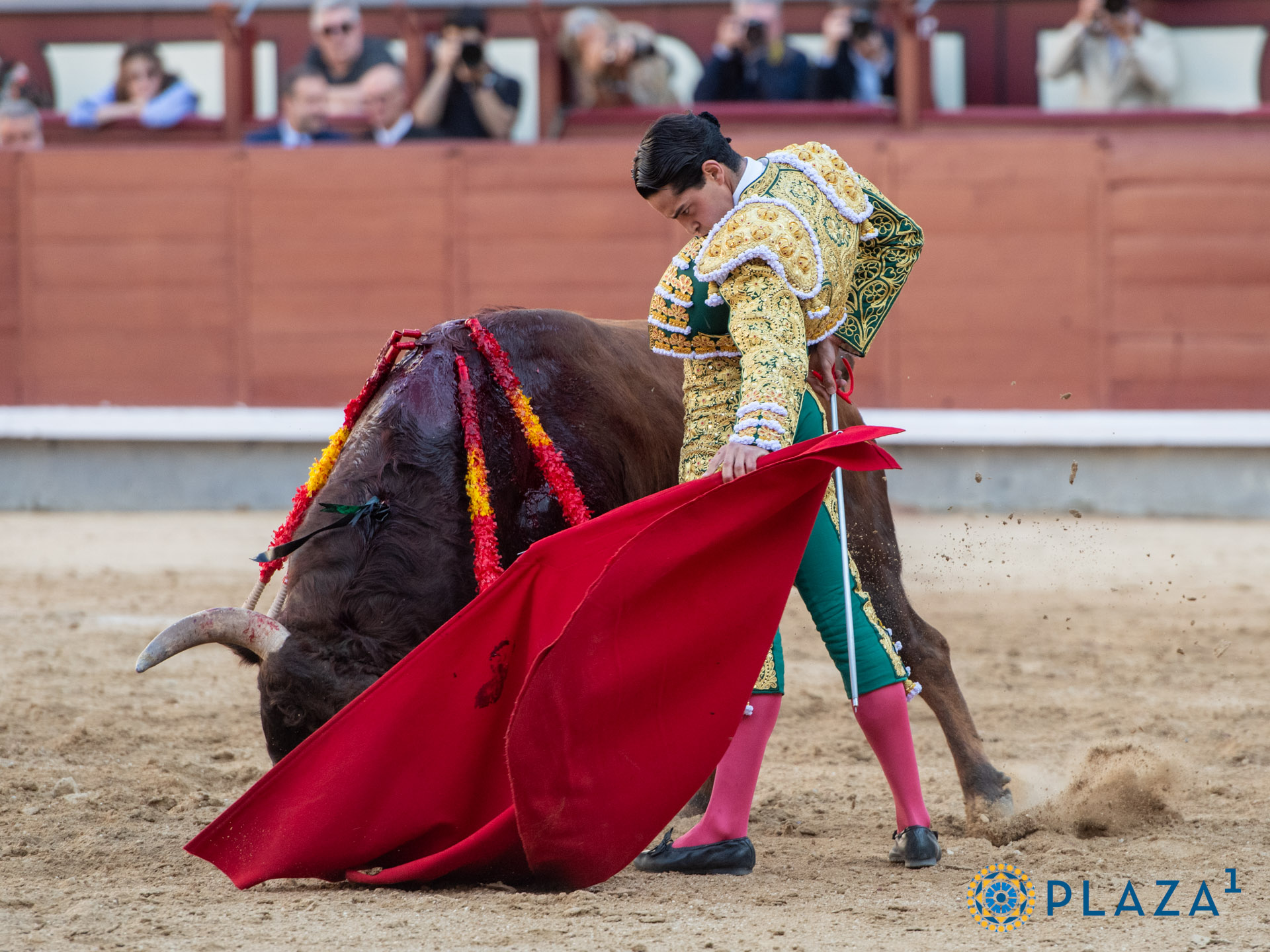 <p>Foto: Alfredo Arévalo / Plaza 1</p>