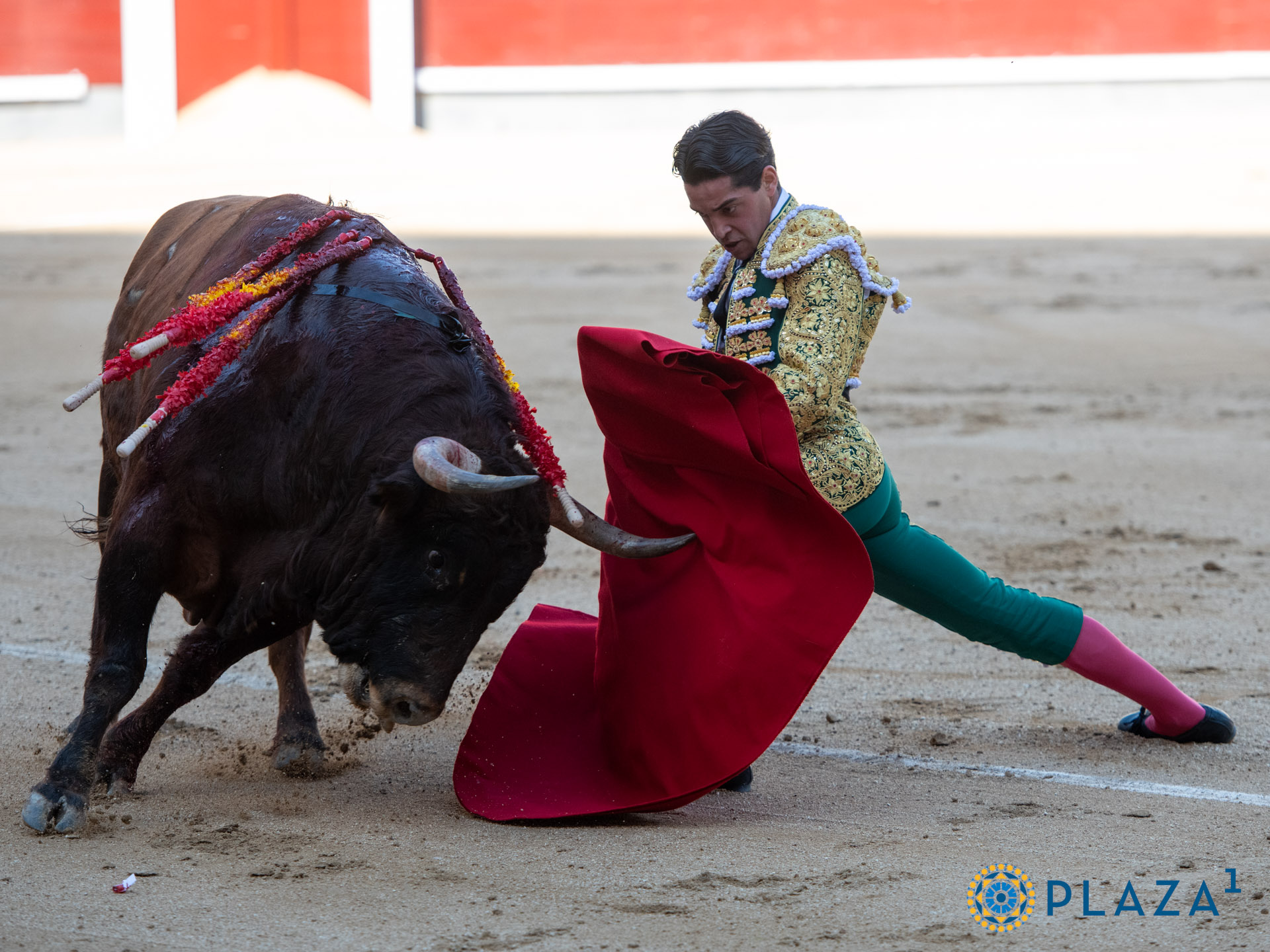<p>Foto: Alfredo Arévalo / Plaza 1</p>
