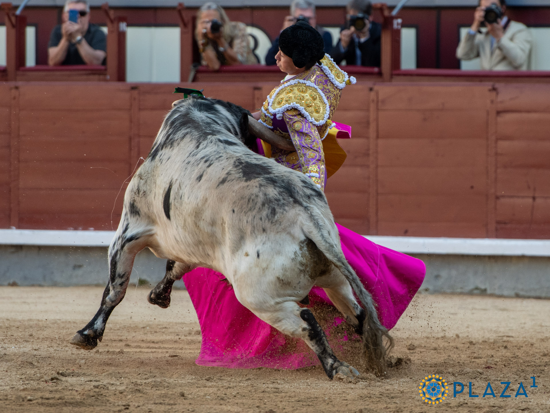 <p>Foto: Alfredo Arévalo / Plaza 1</p>