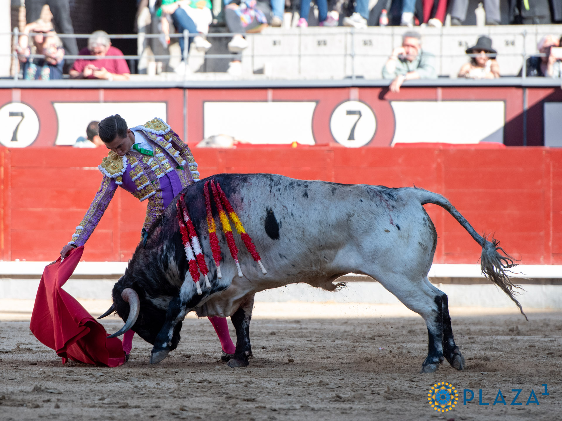 <p>Foto: Alfredo Arévalo / Plaza 1</p>