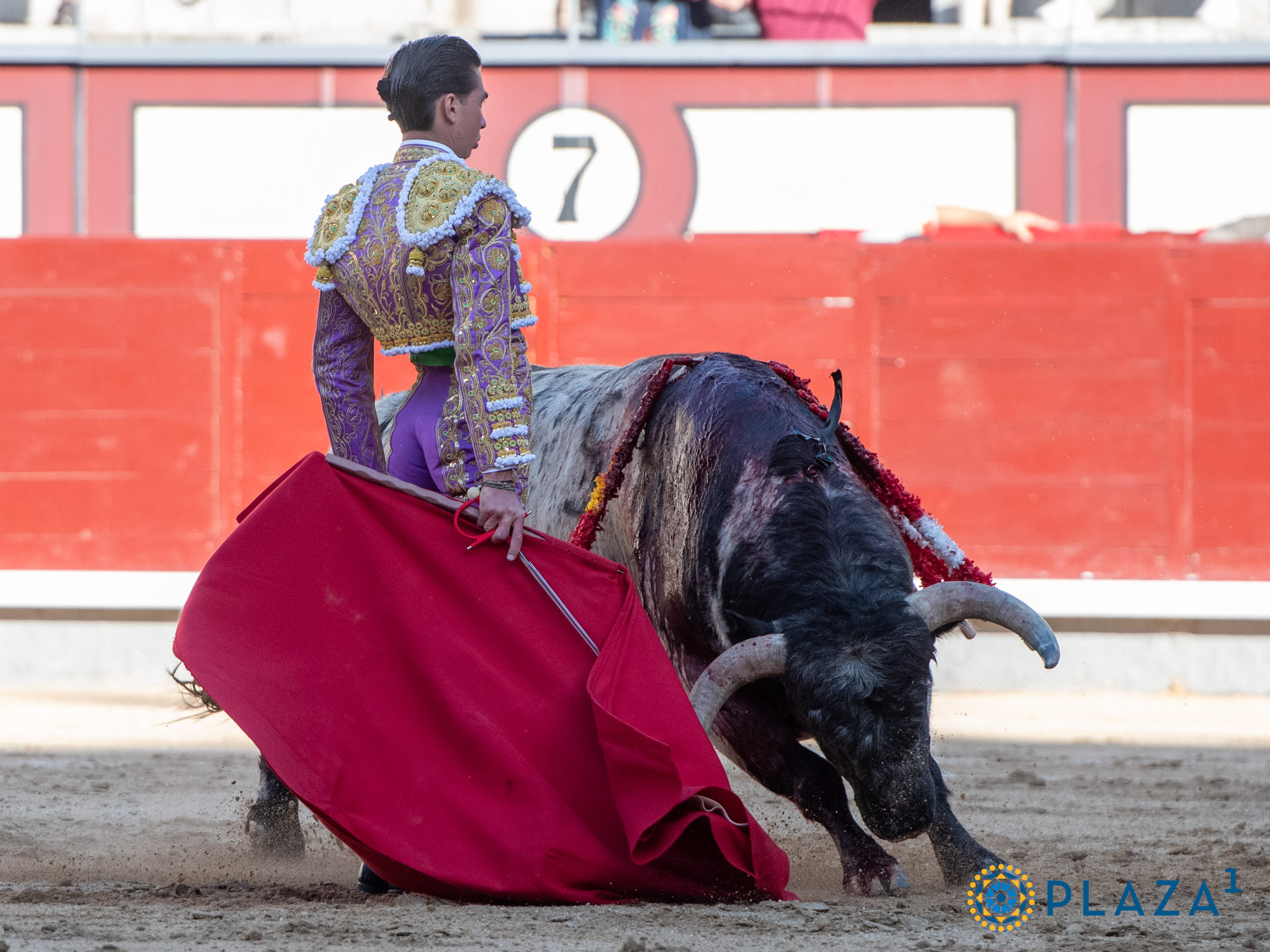 <p>Foto: Alfredo Arévalo / Plaza 1</p>