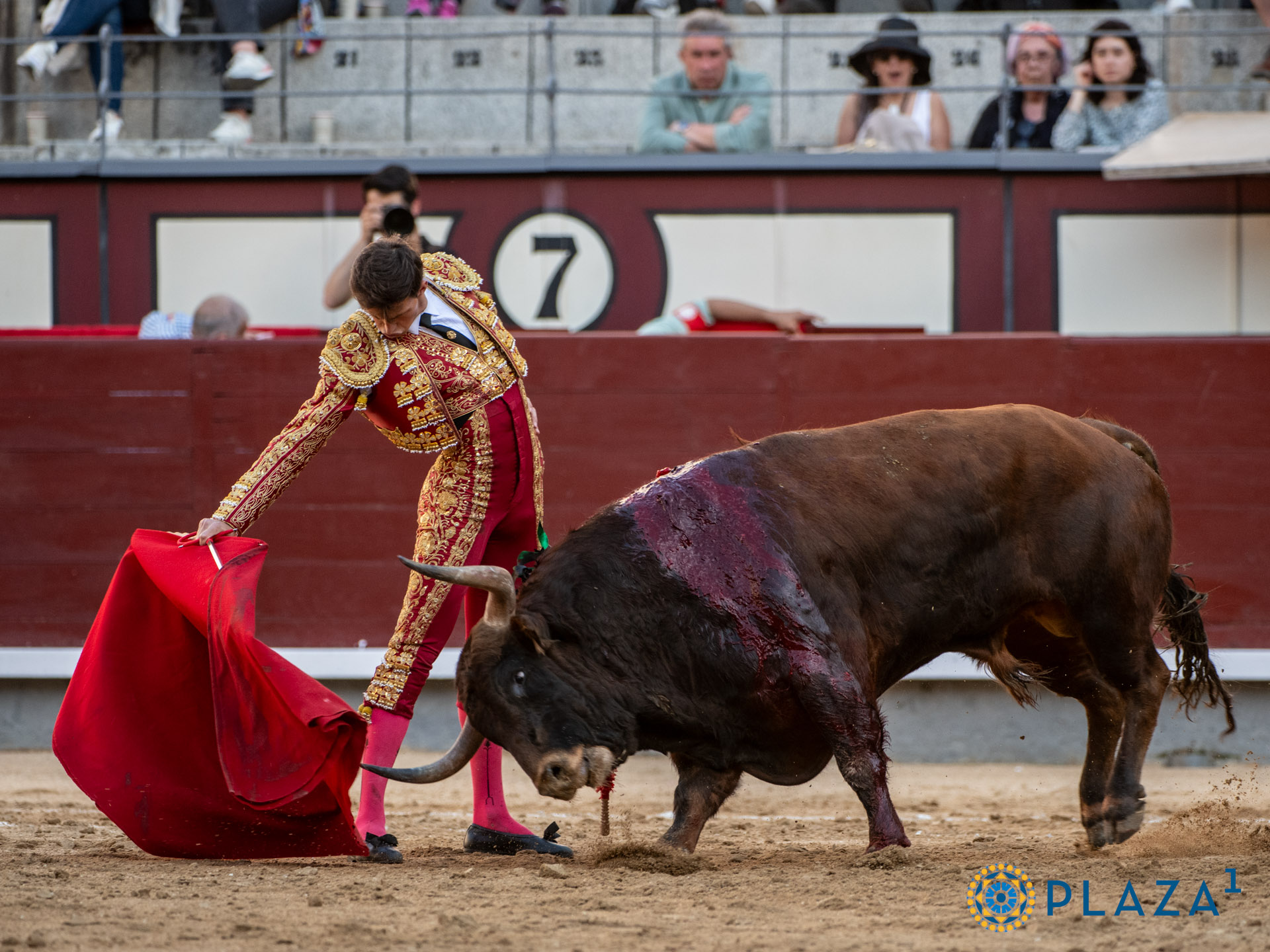 <p>Foto: Alfredo Arévalo / Plaza 1</p>