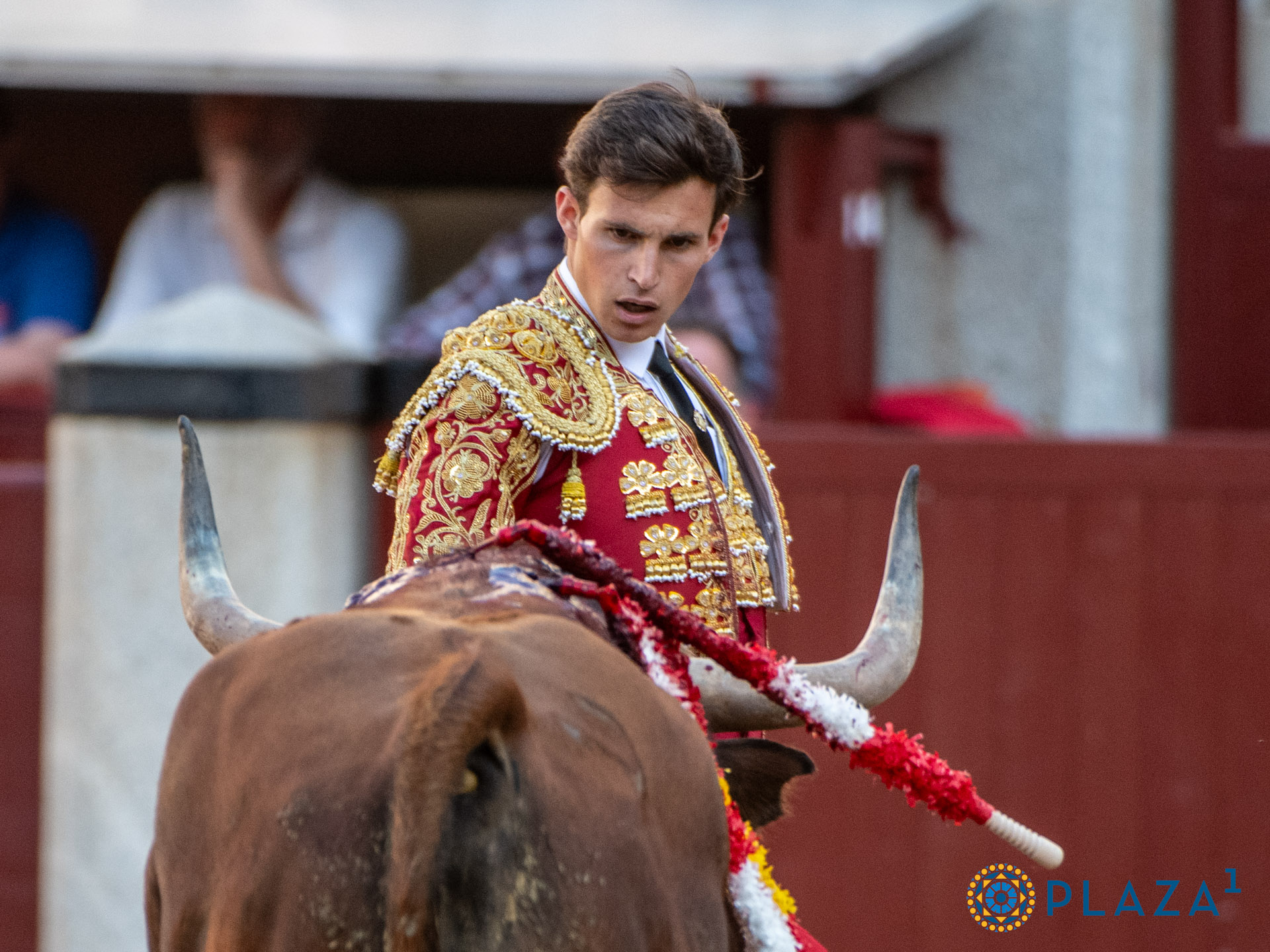 <p>Foto: Alfredo Arévalo / Plaza 1</p>