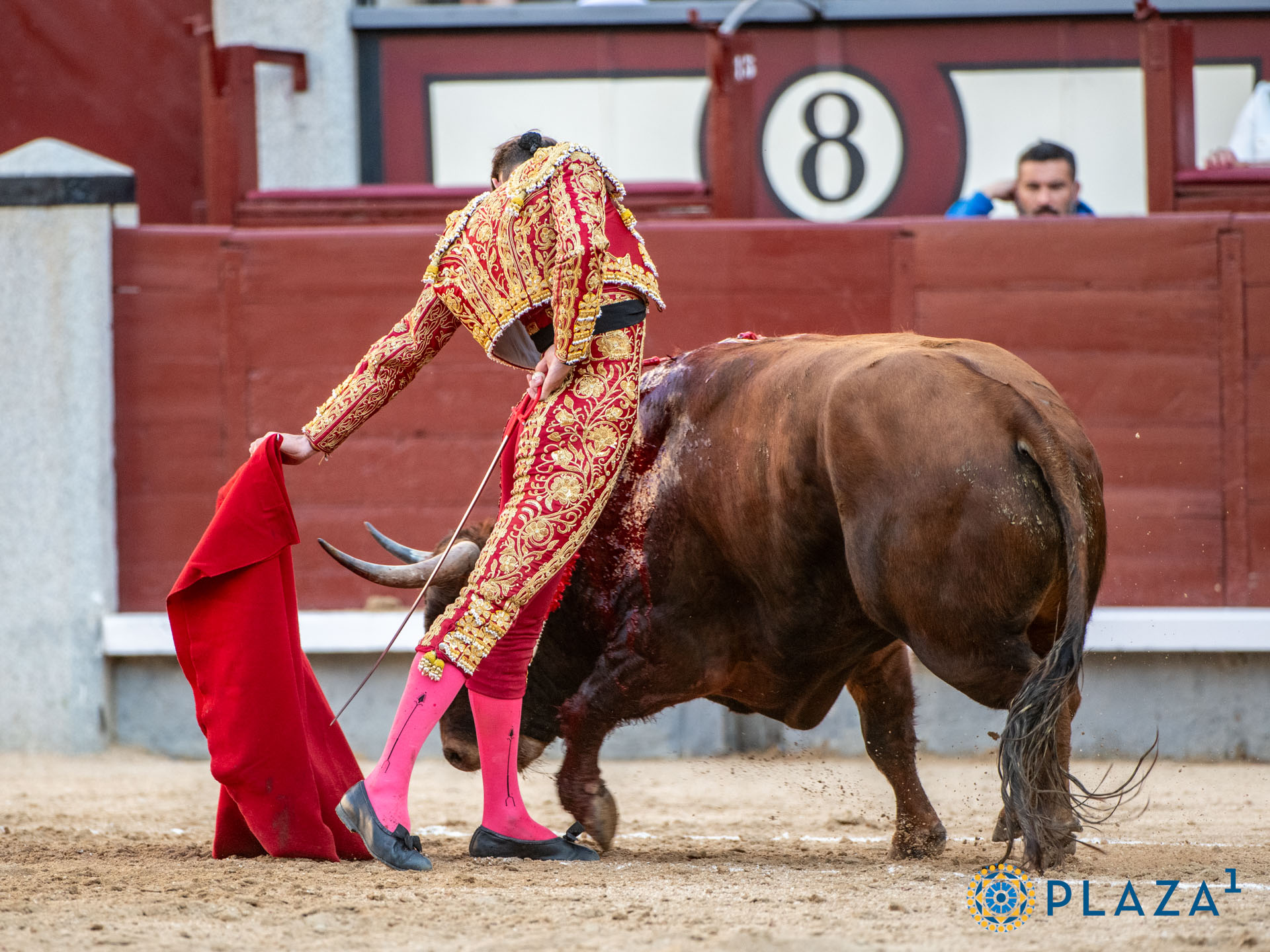 <p>Foto: Alfredo Arévalo / Plaza 1</p>