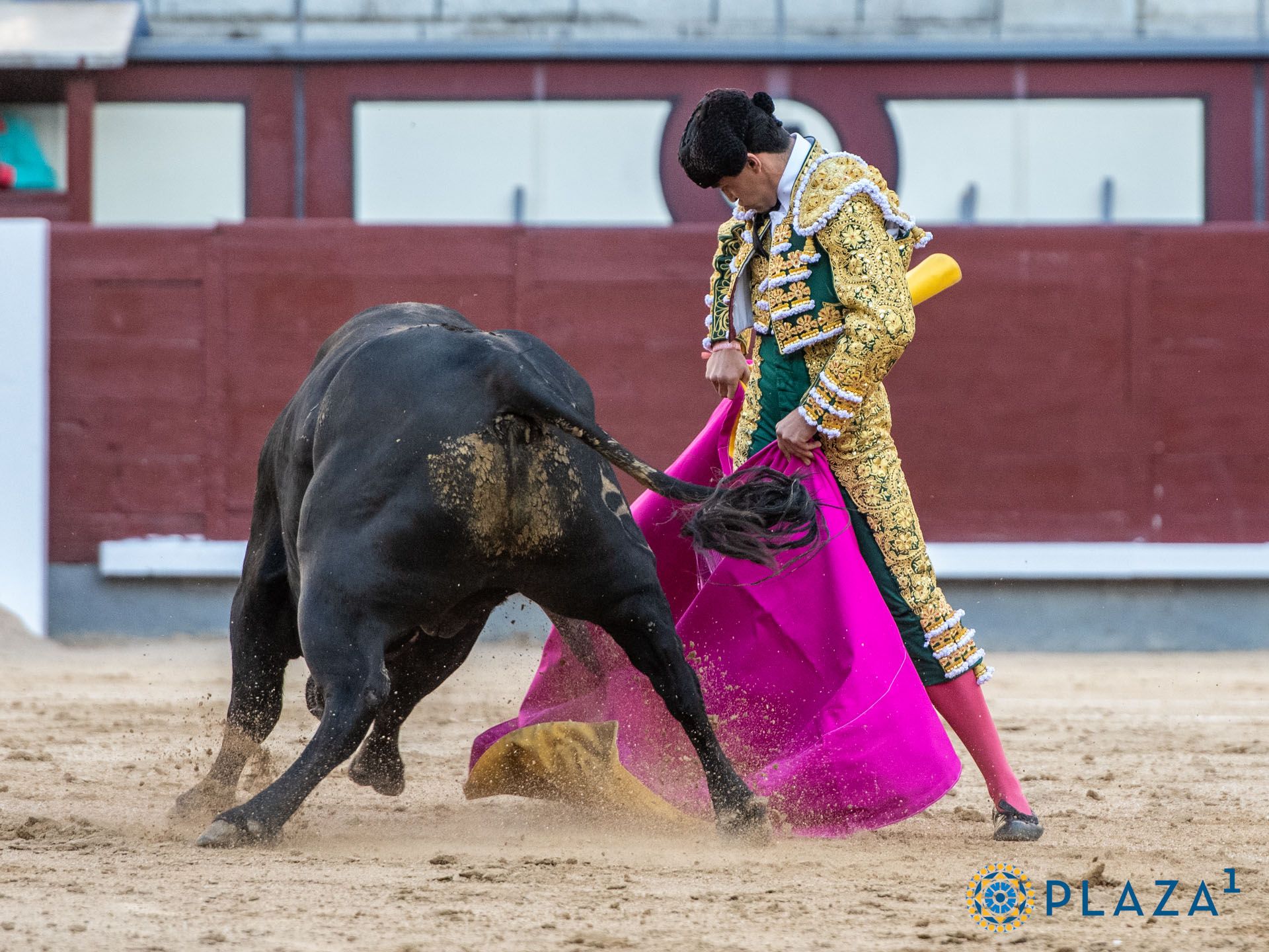 <p>Foto: Alfredo Arévalo / Plaza 1</p>