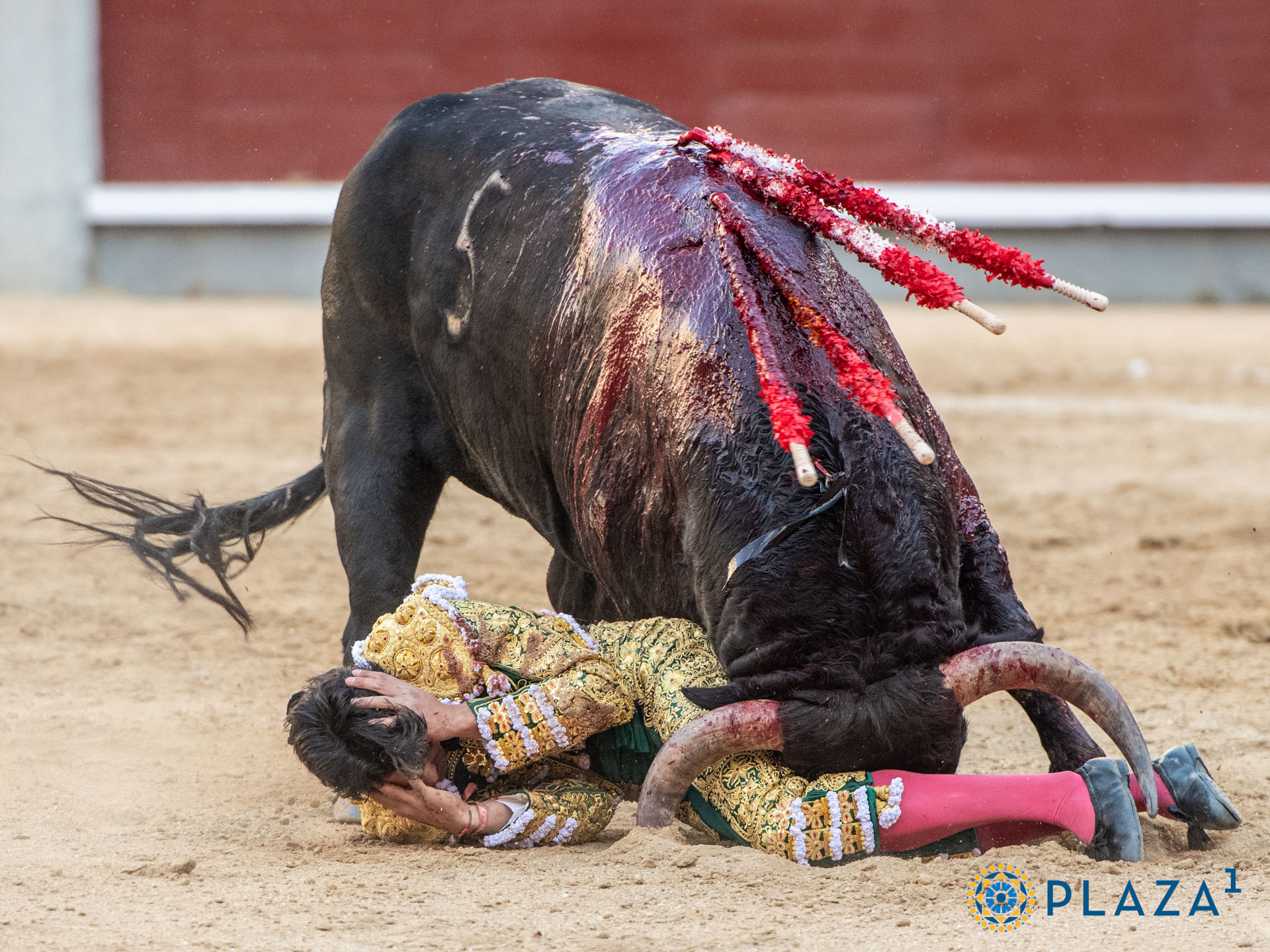 <p>Foto: Alfredo Arévalo / Plaza 1</p>