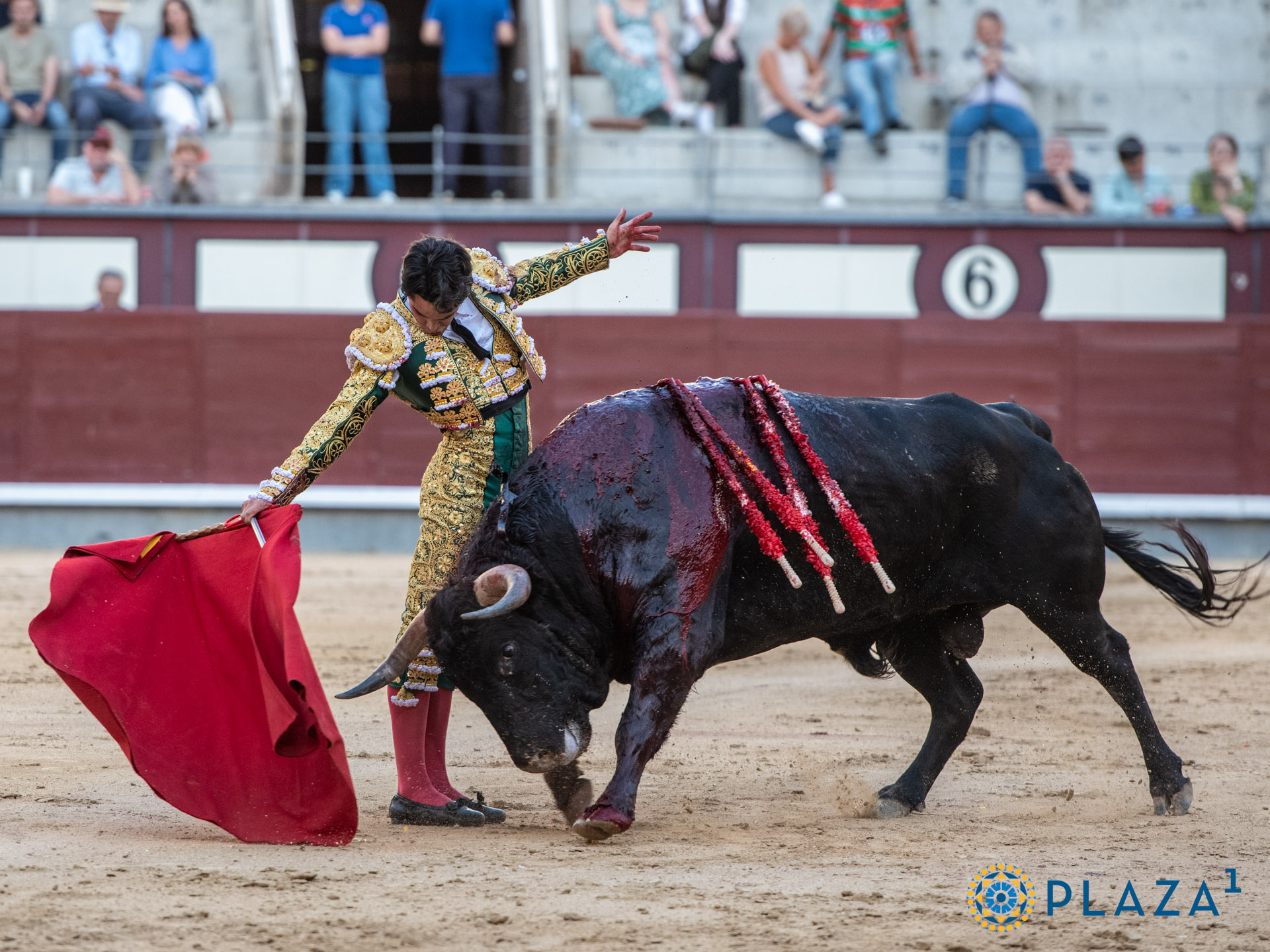 <p>Foto: Alfredo Arévalo / Plaza 1</p>