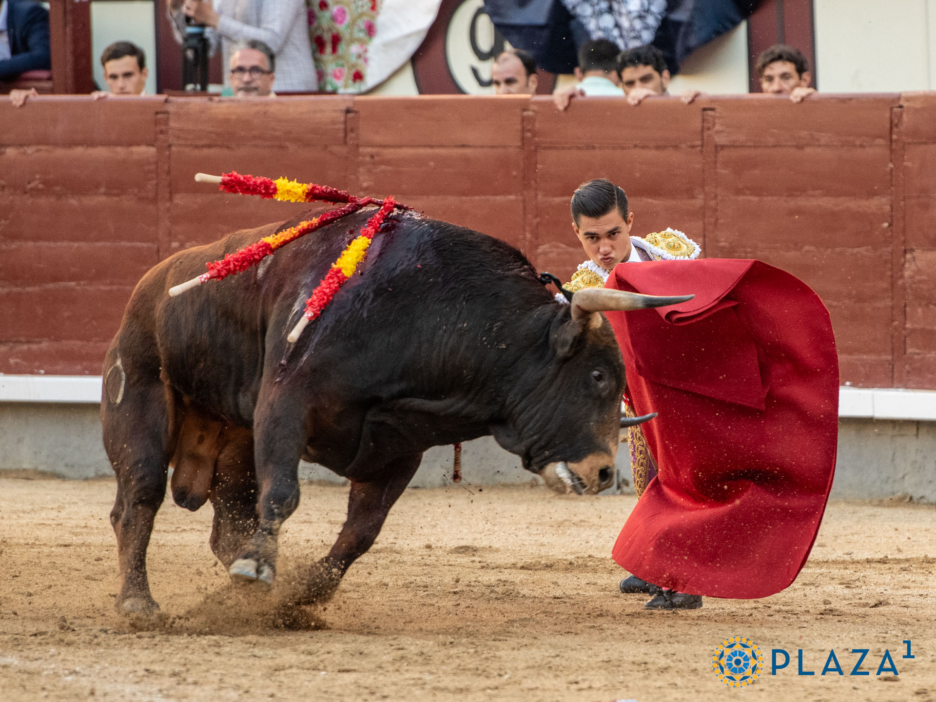 <p>Foto: Alfredo Arévalo / Plaza 1</p>