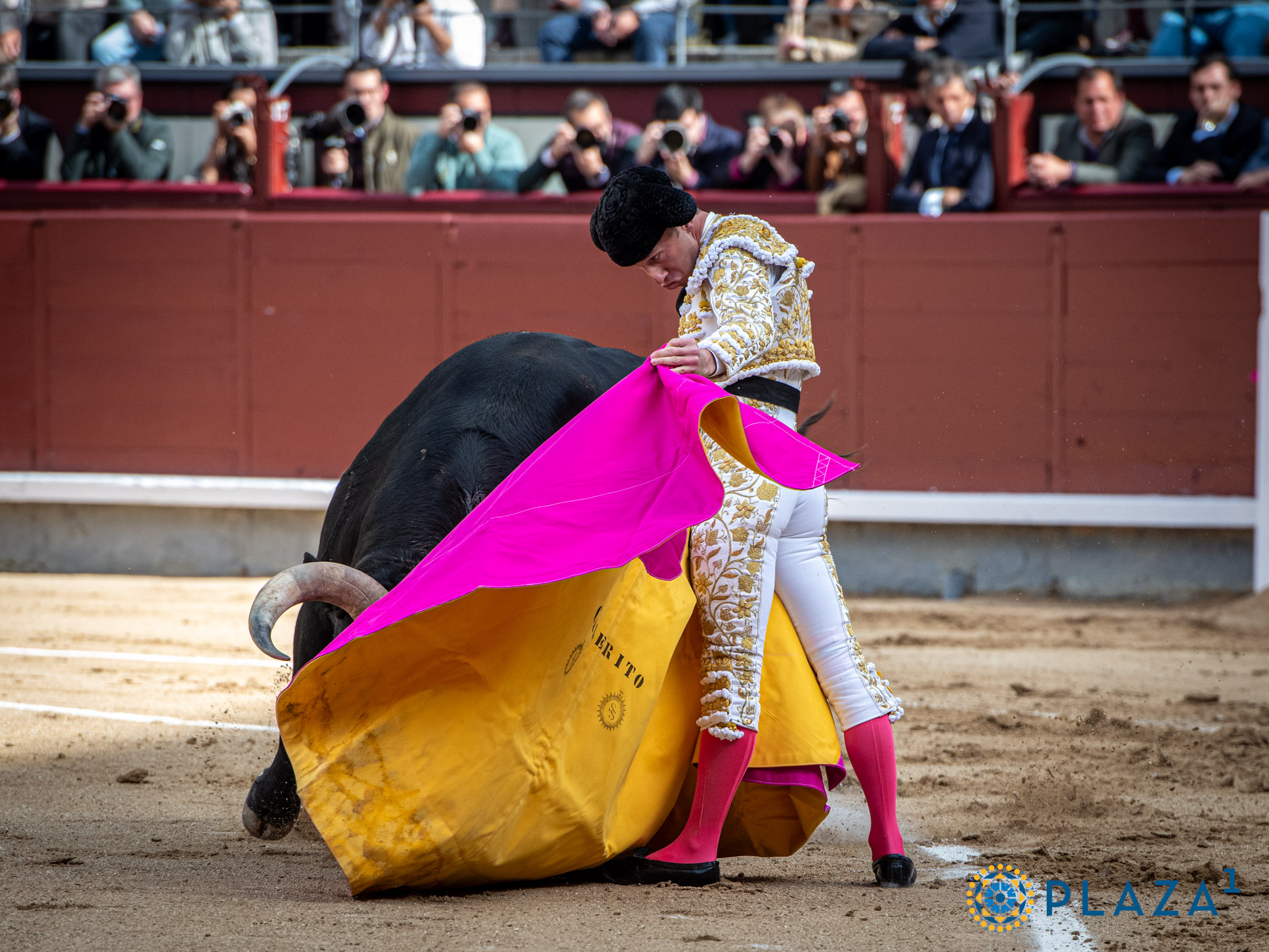 <p>Foto: Alfredo Arévalo / Plaza 1</p>