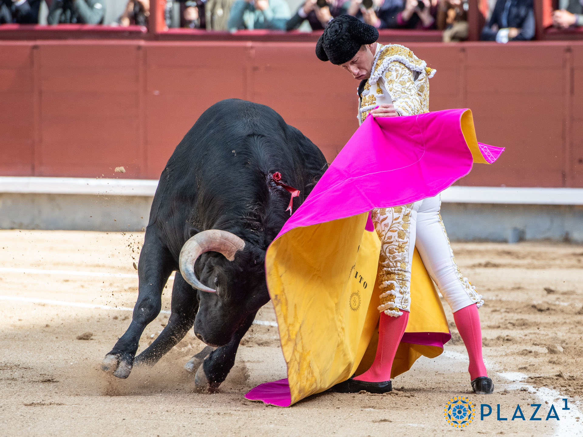 <p>Foto: Alfredo Arévalo / Plaza 1</p>