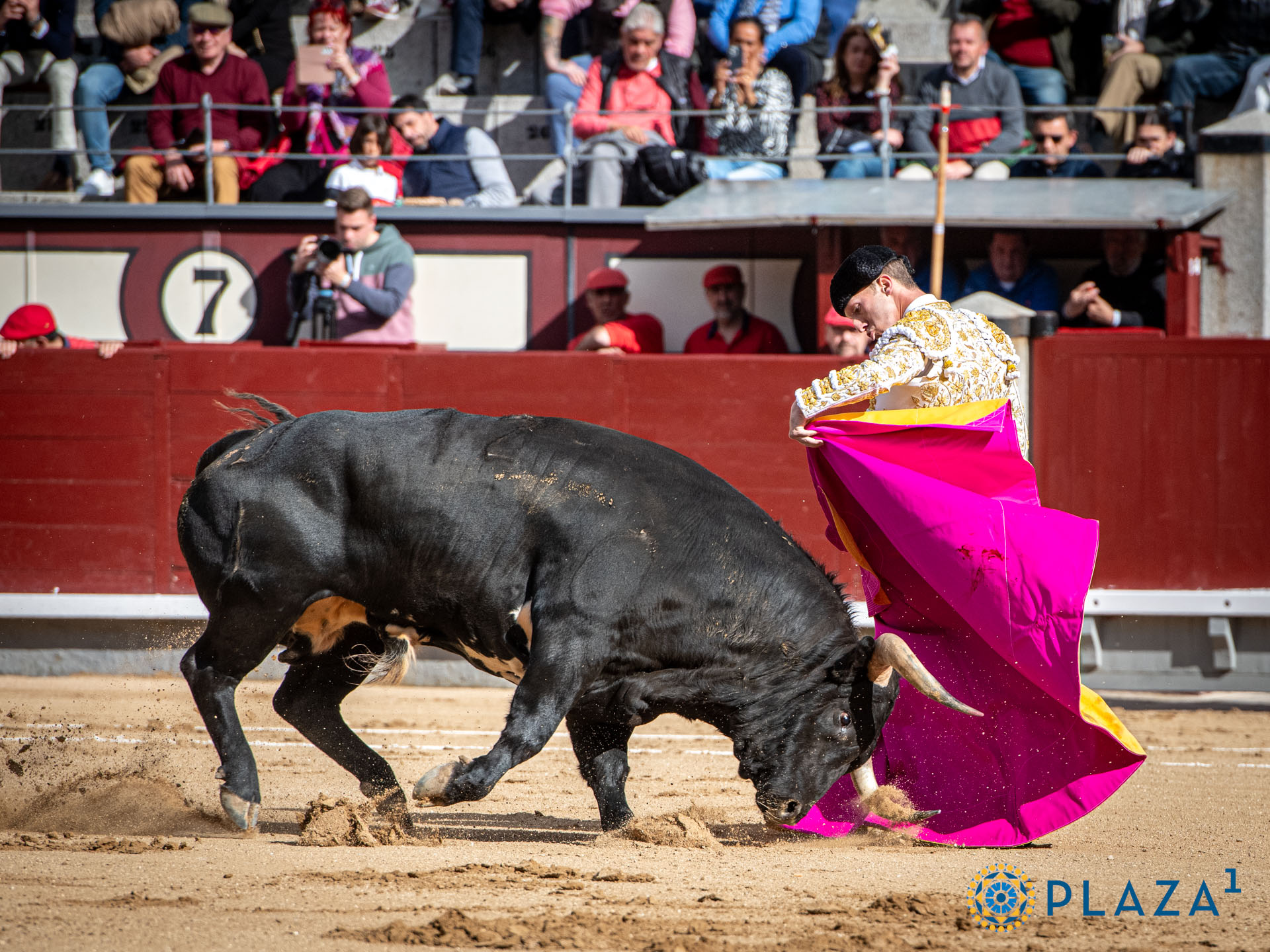 <p>Foto: Alfredo Arévalo / Plaza 1</p>
