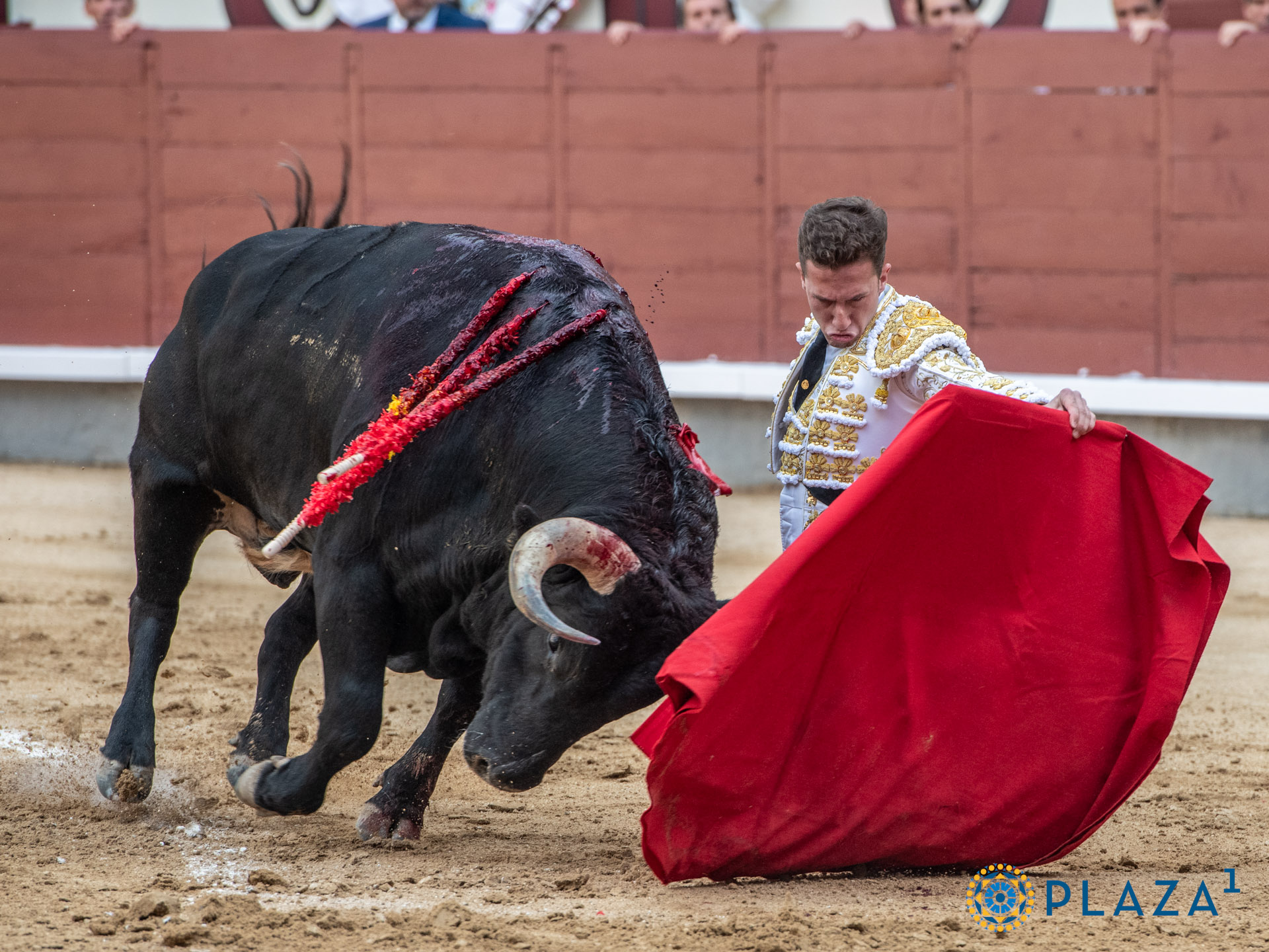 <p>Foto: Alfredo Arévalo / Plaza 1</p>