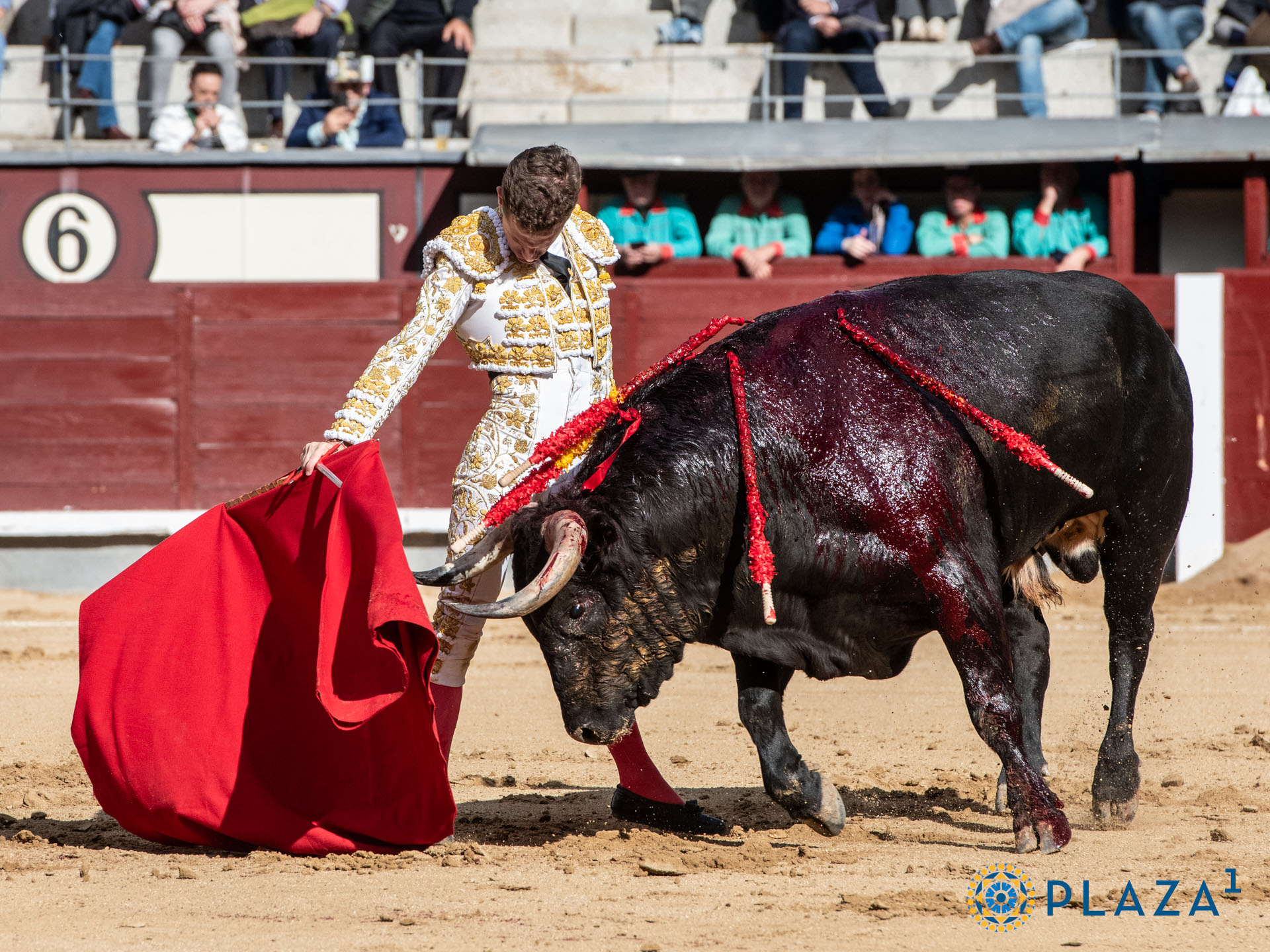 <p>Foto: Alfredo Arévalo / Plaza 1</p>