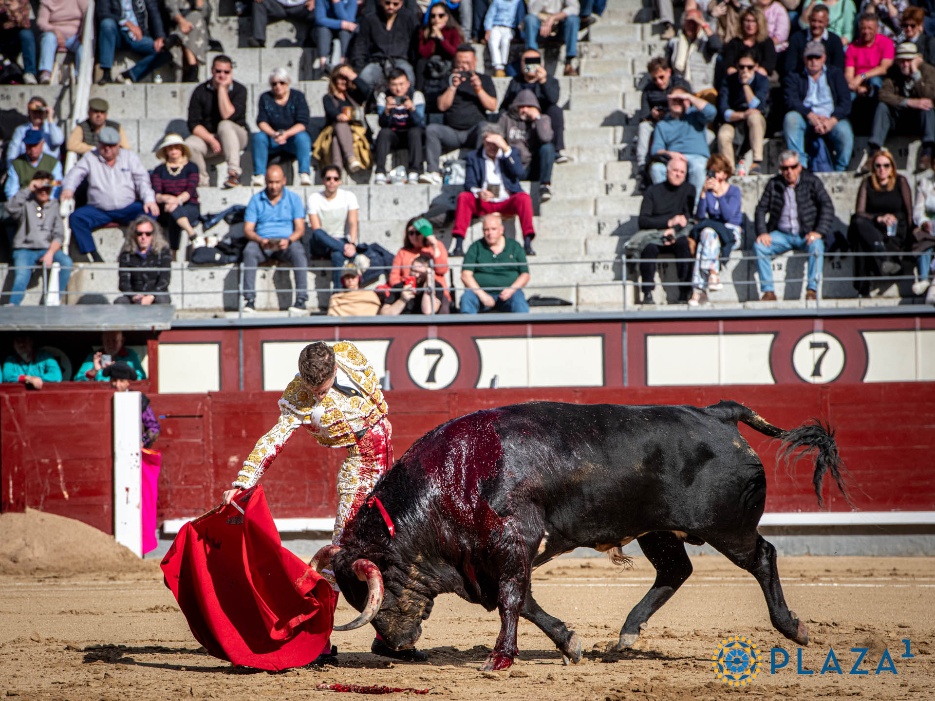 <p>Foto: Alfredo Arévalo / Plaza 1</p>
