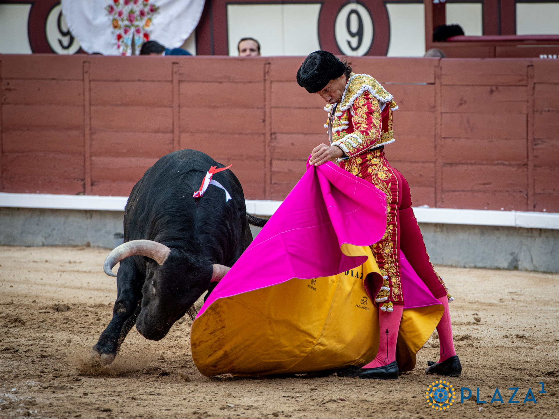 <p>Foto: Alfredo Arévalo / Plaza 1</p>