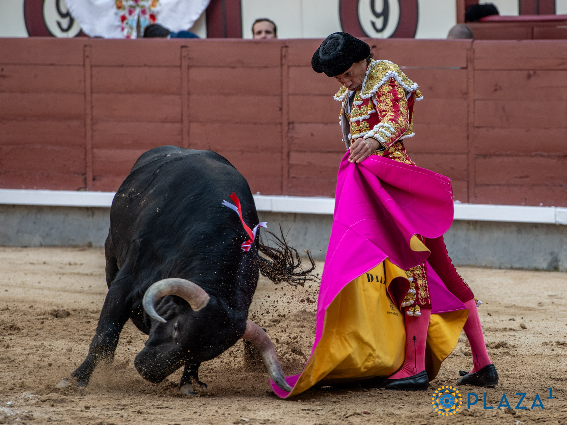 <p>Foto: Alfredo Arévalo / Plaza 1</p>