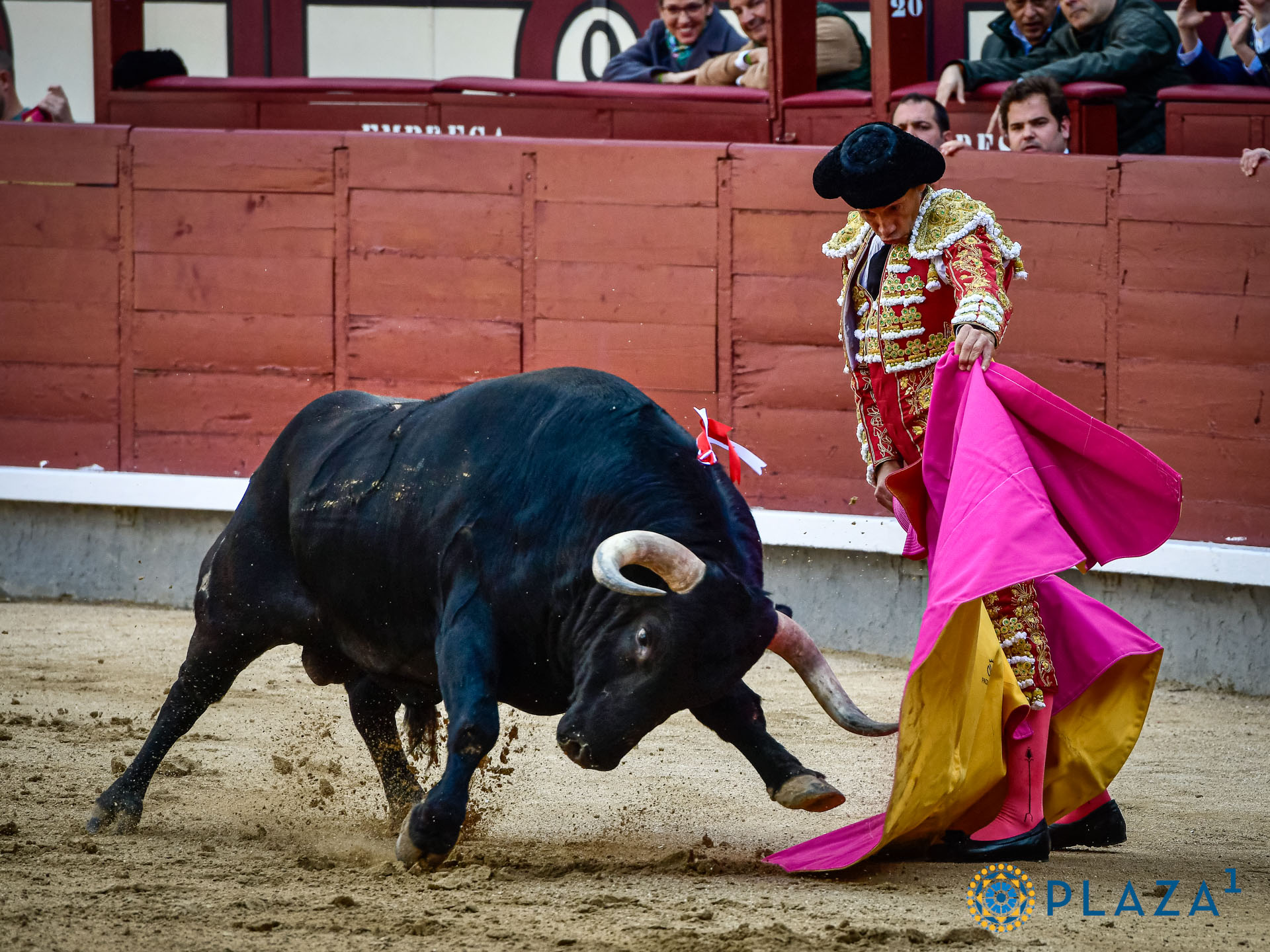 <p>Foto: Alfredo Arévalo / Plaza 1</p>