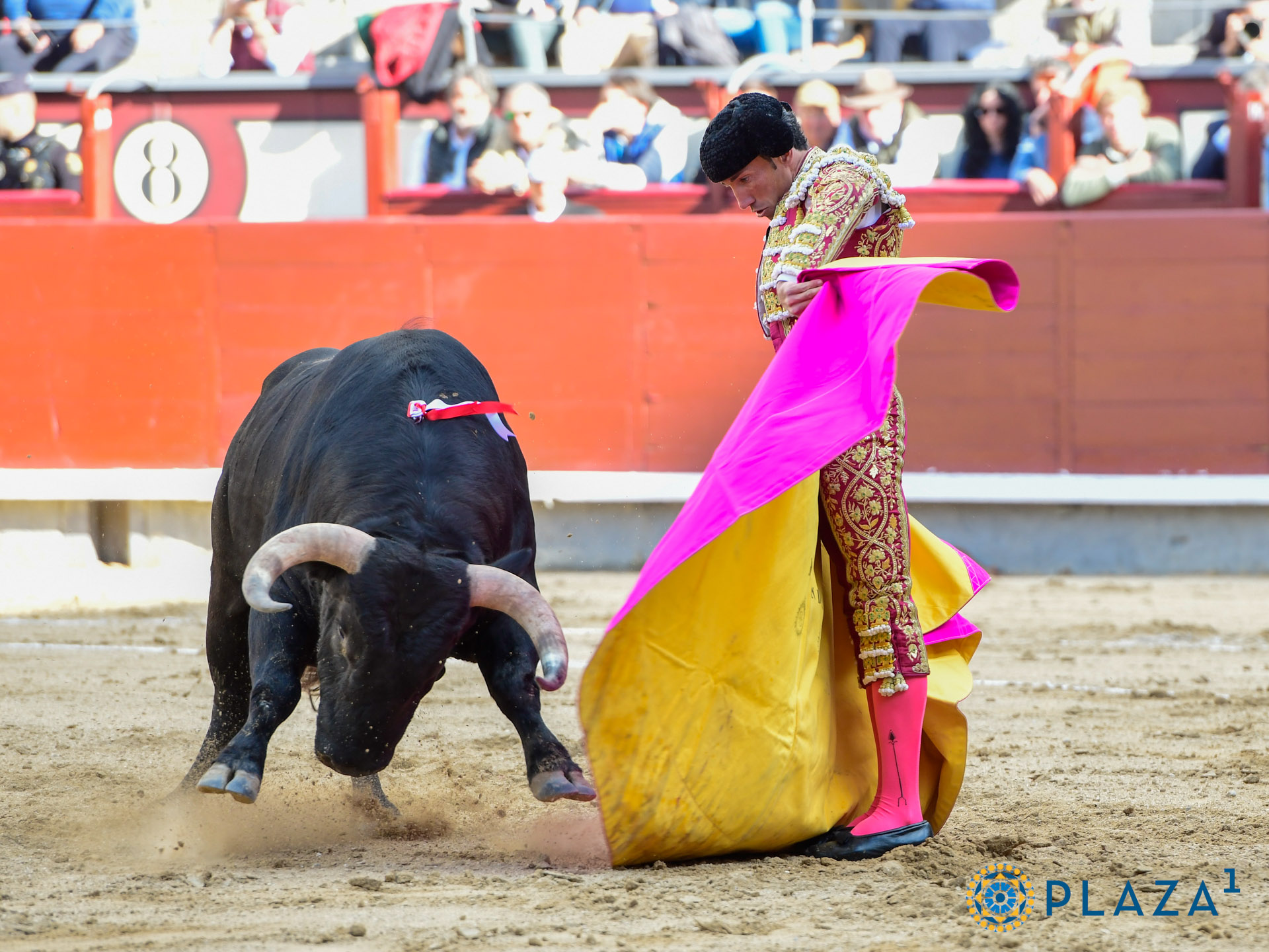 <p>Foto: Alfredo Arévalo / Plaza 1</p>