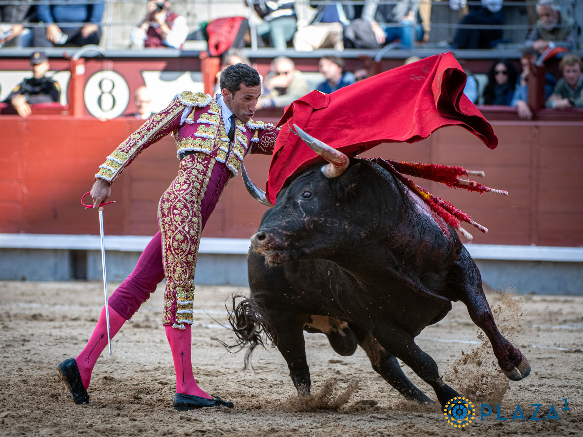 <p>Foto: Alfredo Arévalo / Plaza 1</p>