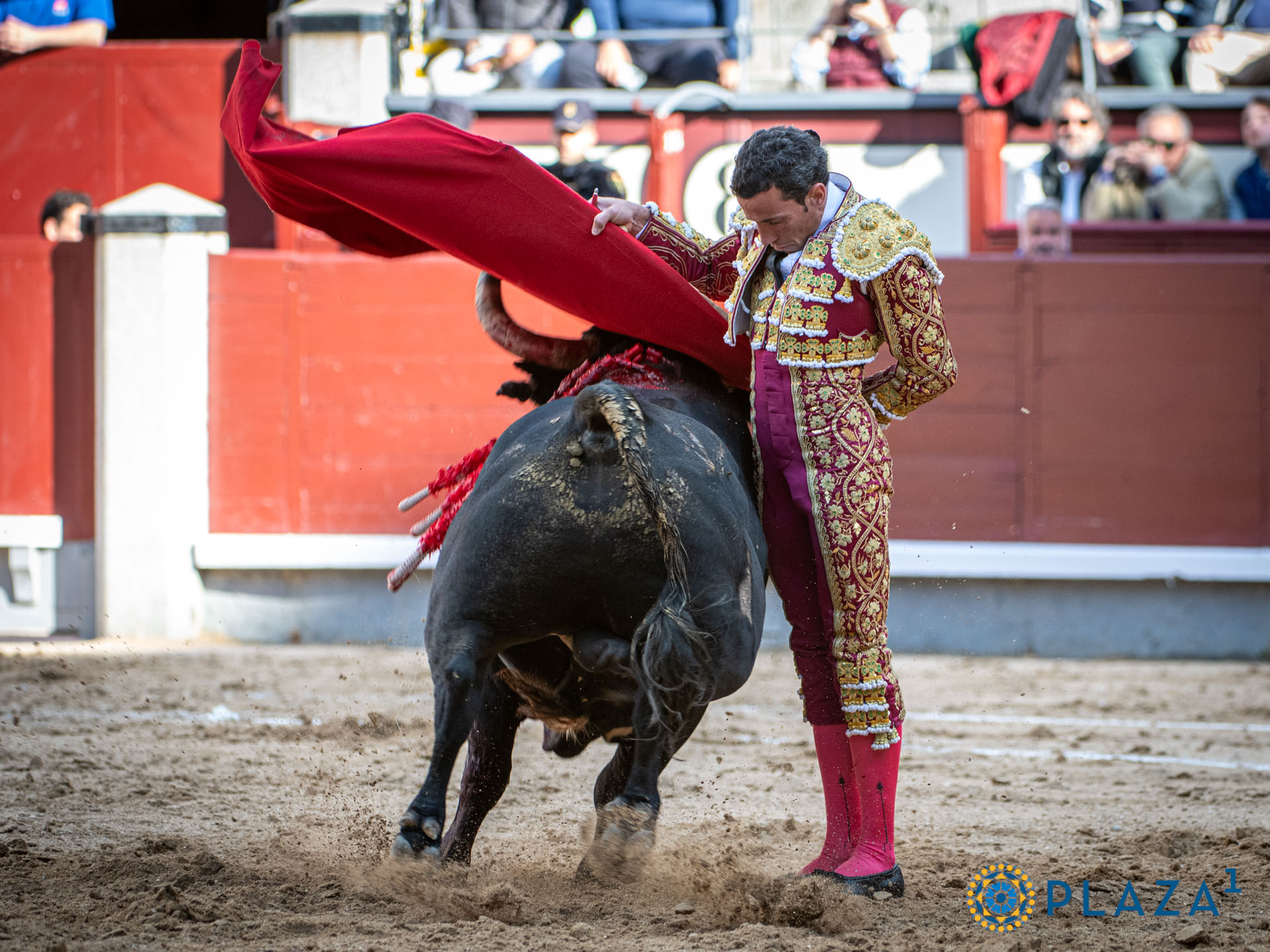 <p>Foto: Alfredo Arévalo / Plaza 1</p>