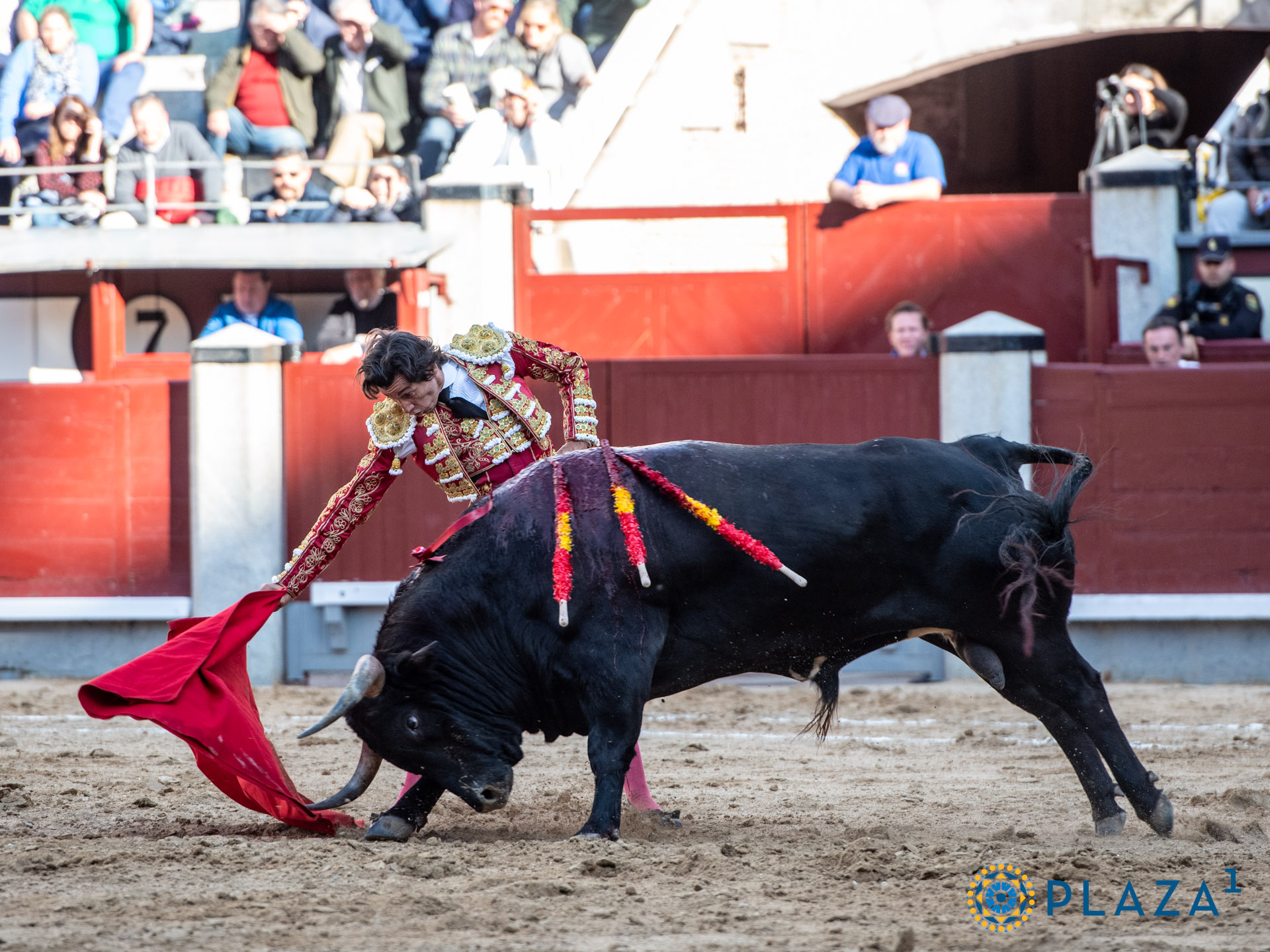 <p>Foto: Alfredo Arévalo / Plaza 1</p>