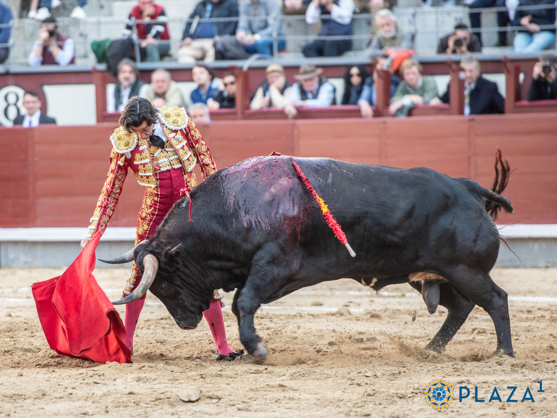 <p>Foto: Alfredo Arévalo / Plaza 1</p>