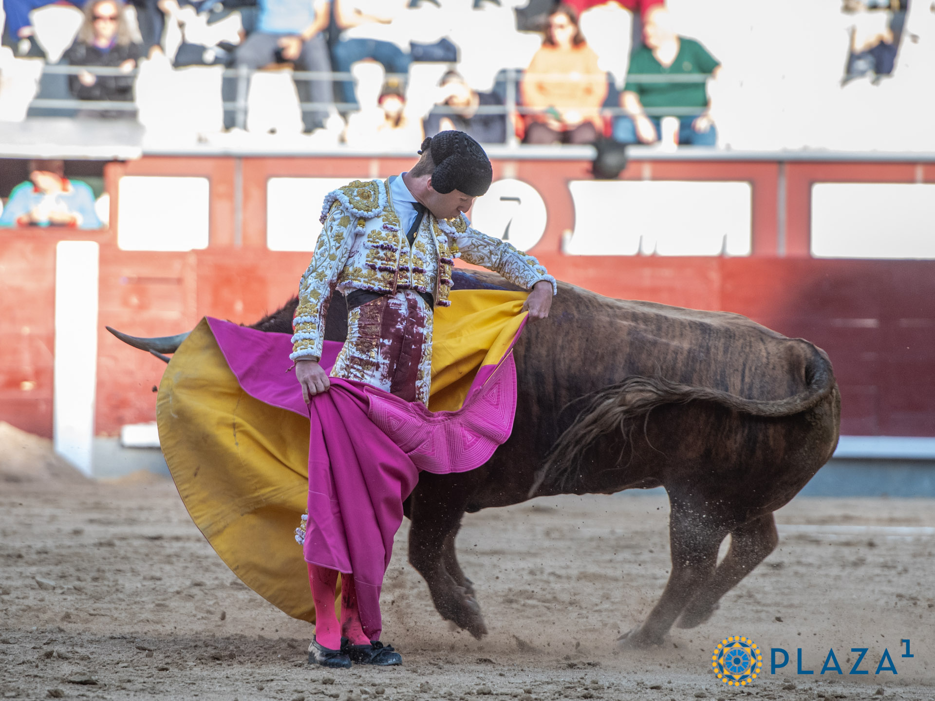 <p>Foto: Alfredo Arévalo / Plaza 1</p>