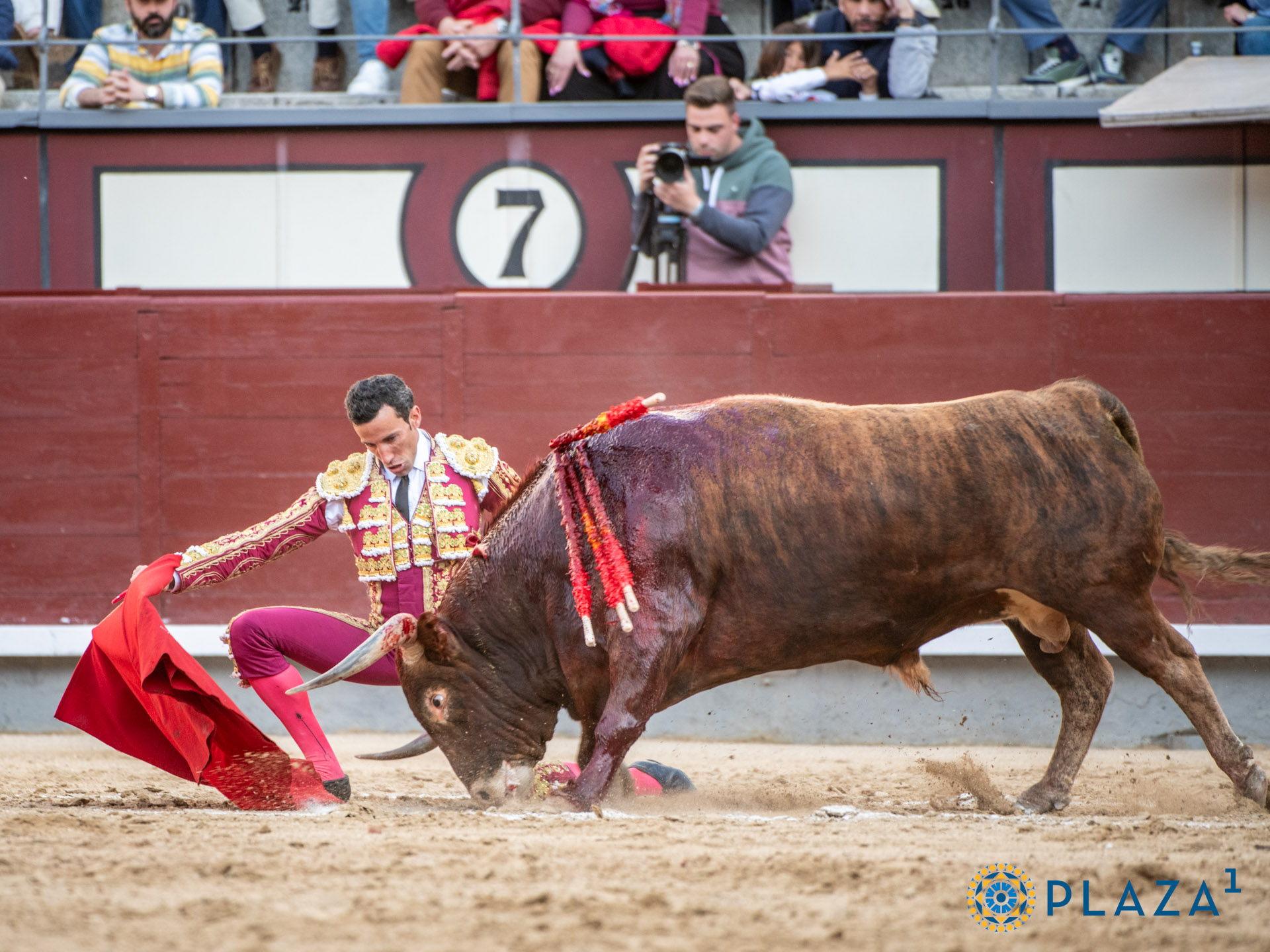 <p>Foto: Alfredo Arévalo / Plaza 1</p>