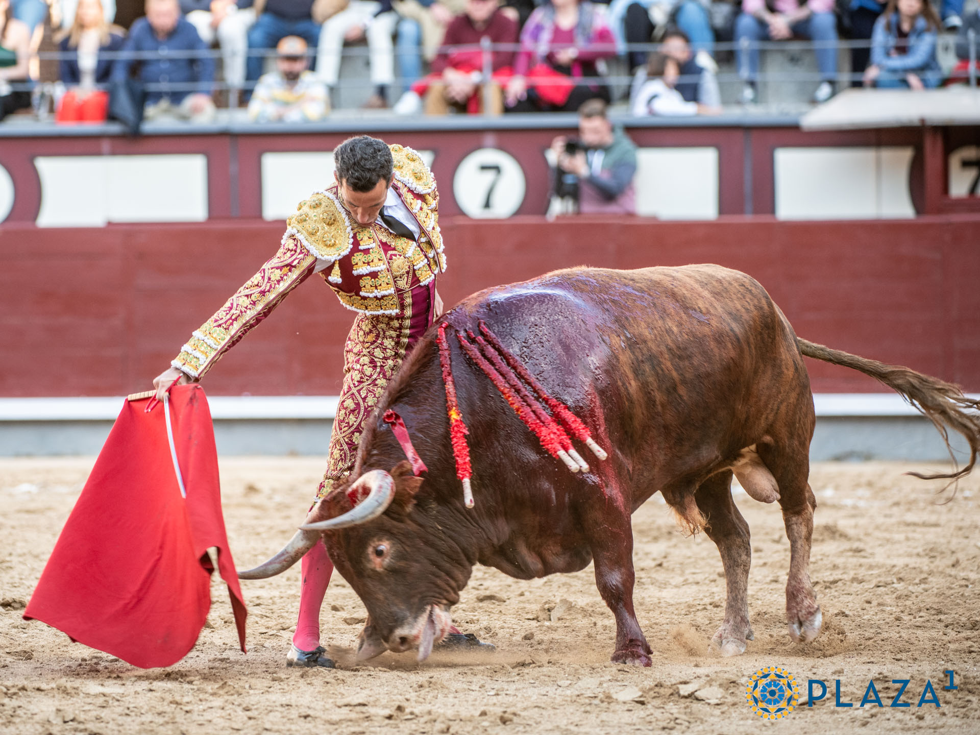 <p>Foto: Alfredo Arévalo / Plaza 1</p>