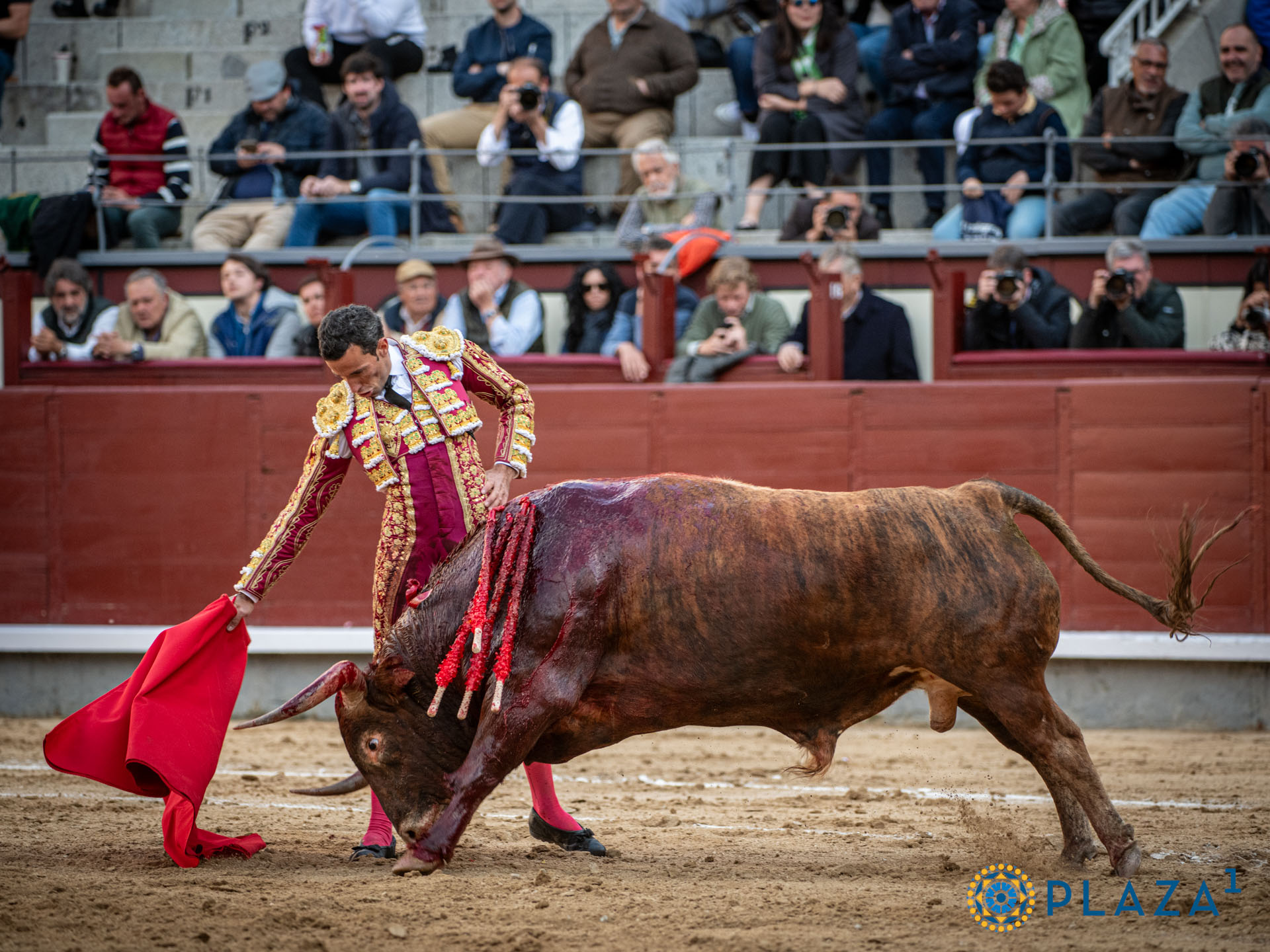 <p>Foto: Alfredo Arévalo / Plaza 1</p>