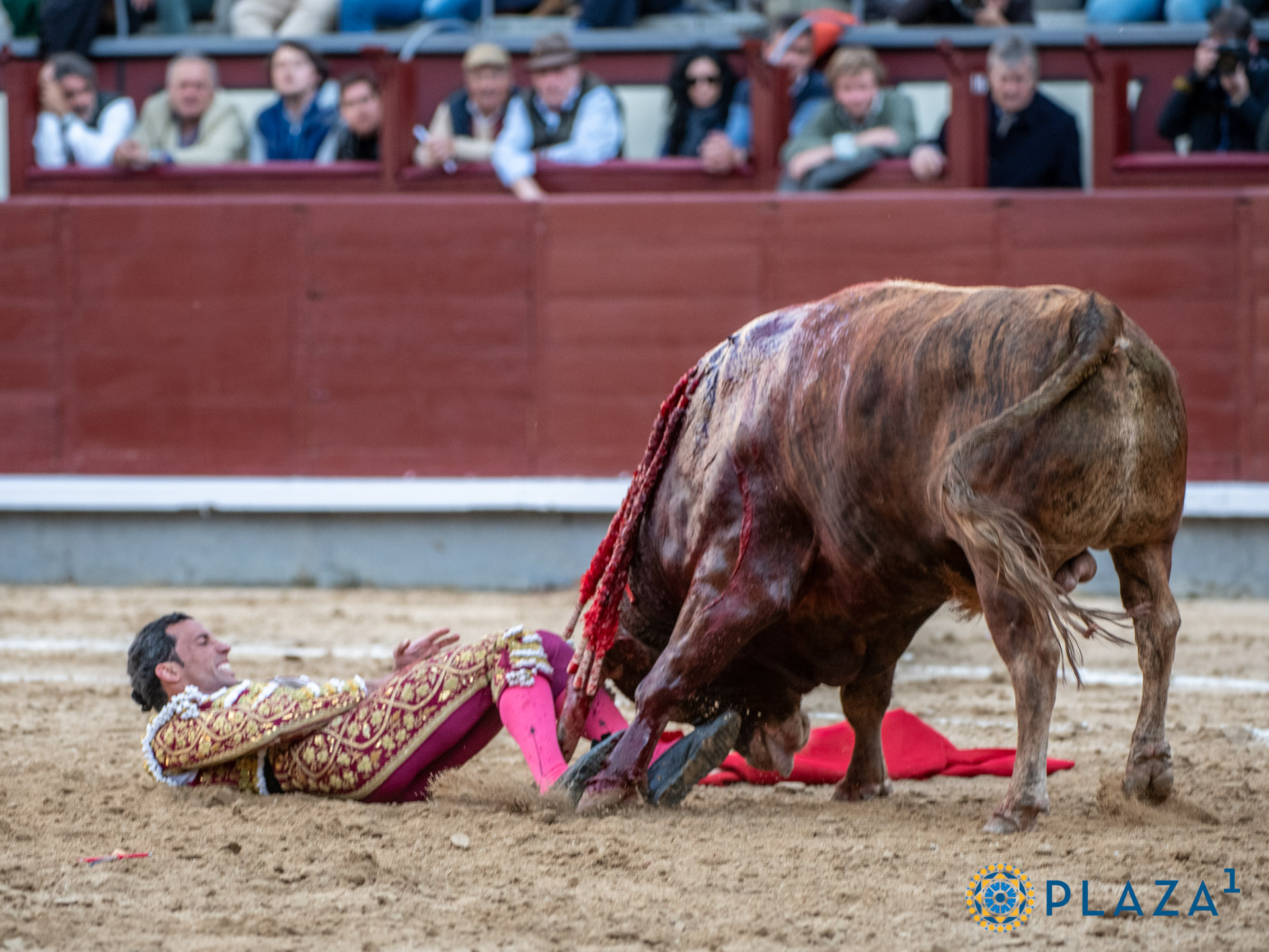 <p>Foto: Alfredo Arévalo / Plaza 1</p>