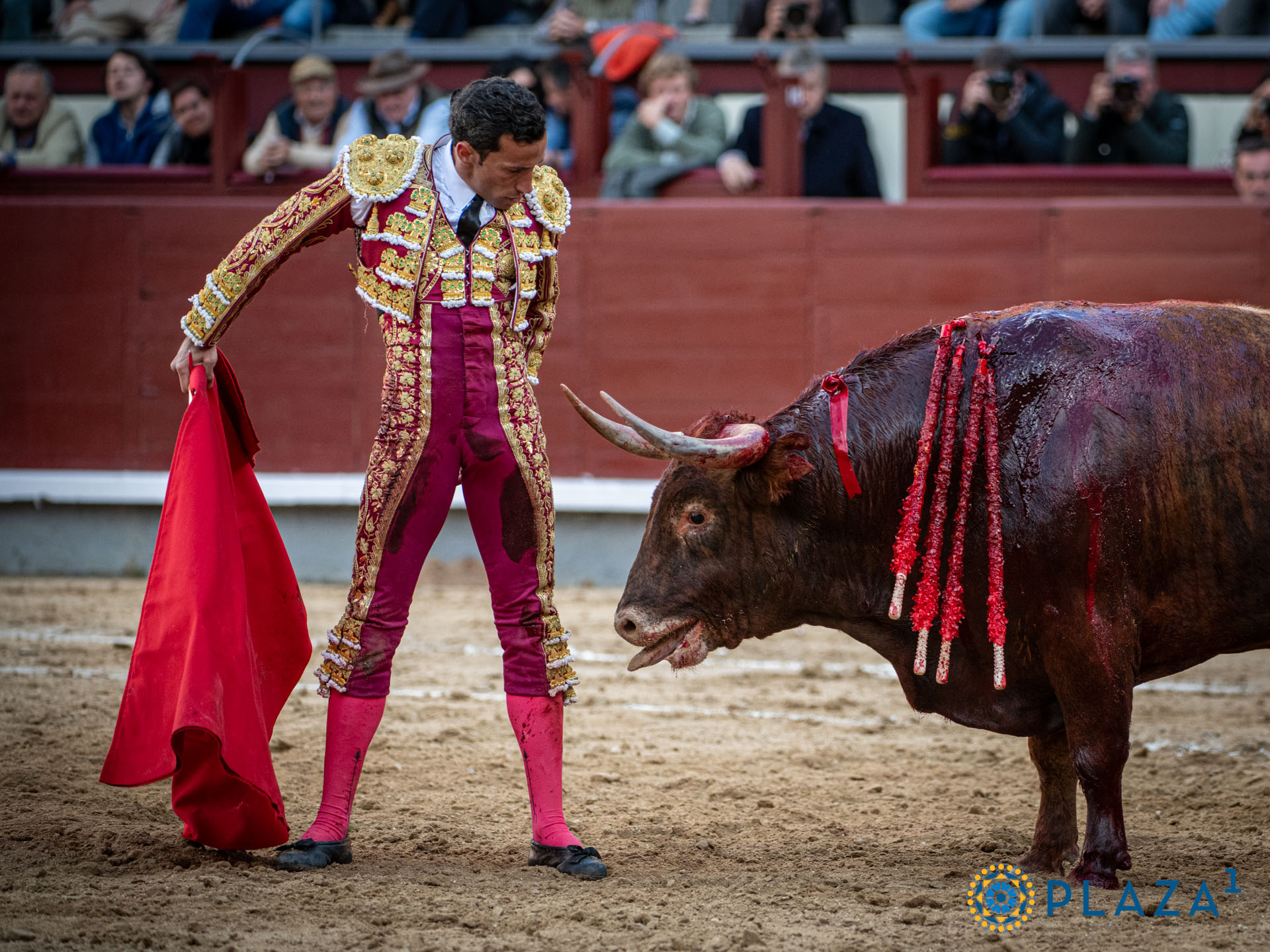 <p>Foto: Alfredo Arévalo / Plaza 1</p>